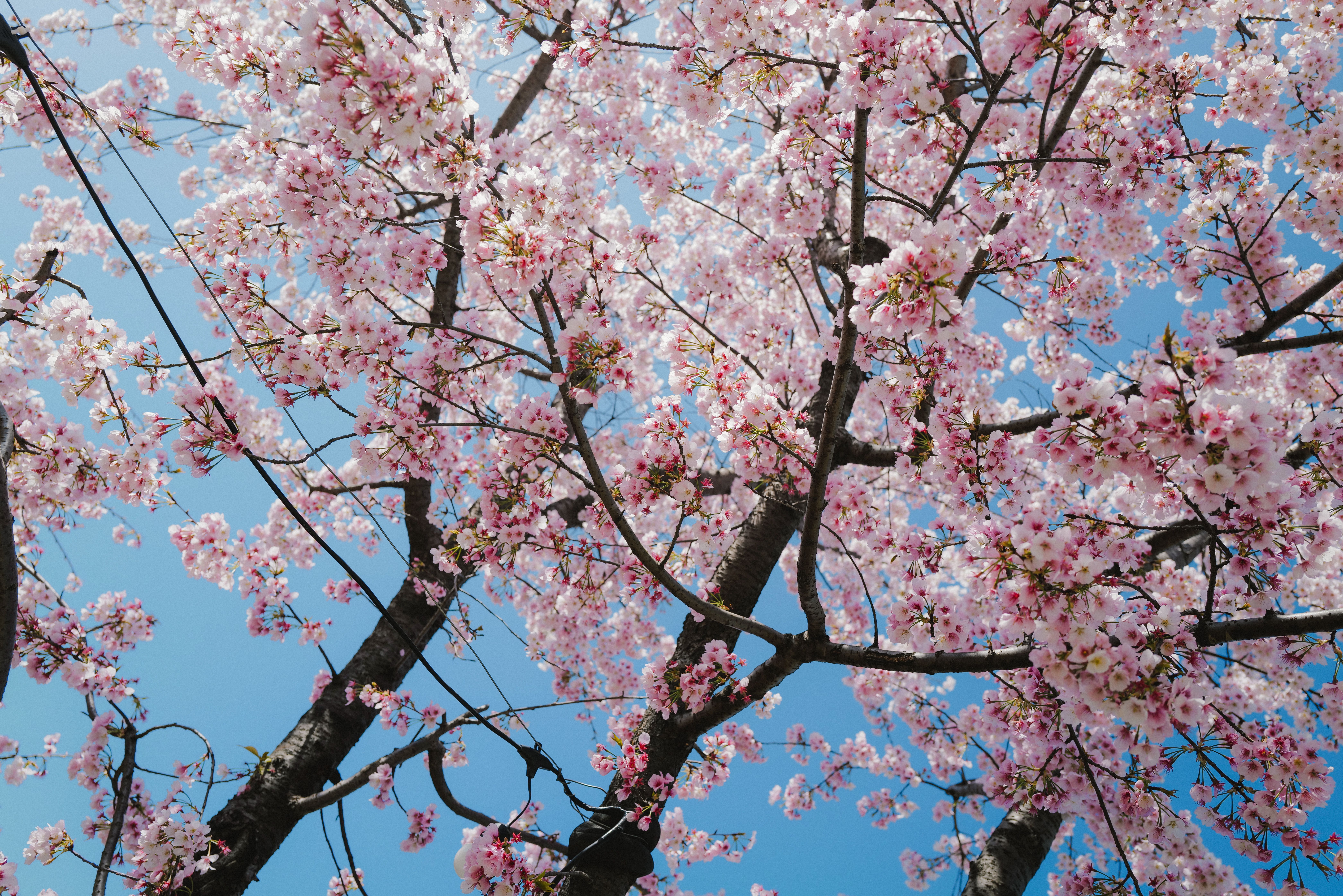 The Beginner's Guide to Self care checklist