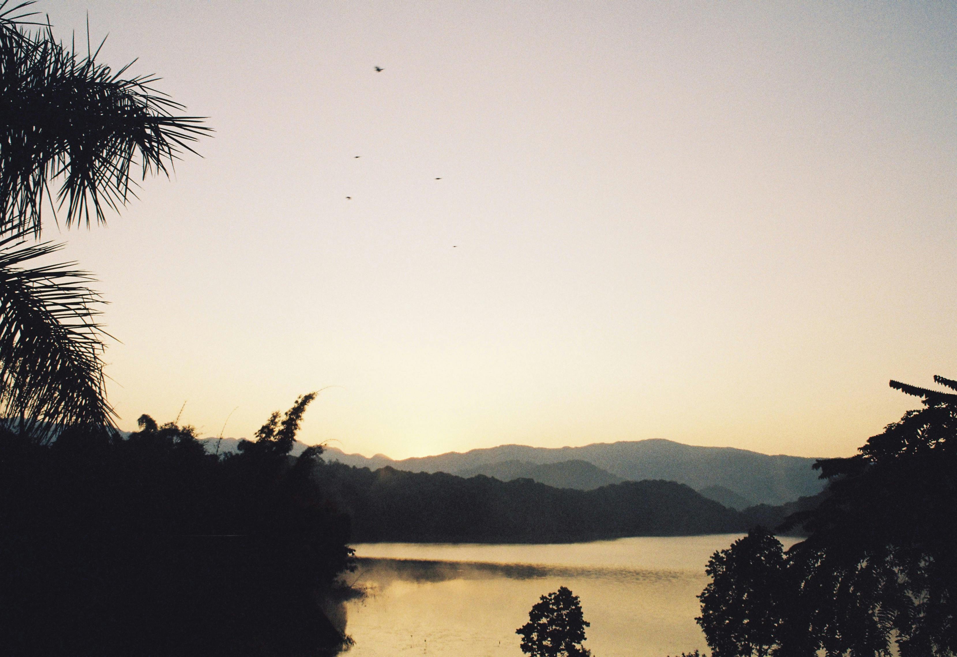 Ücretsiz açık hava, açık-fotoğrafçılık, ağaçlar içeren Ücretsiz stok fotoğraf Stok Fotoğraflar