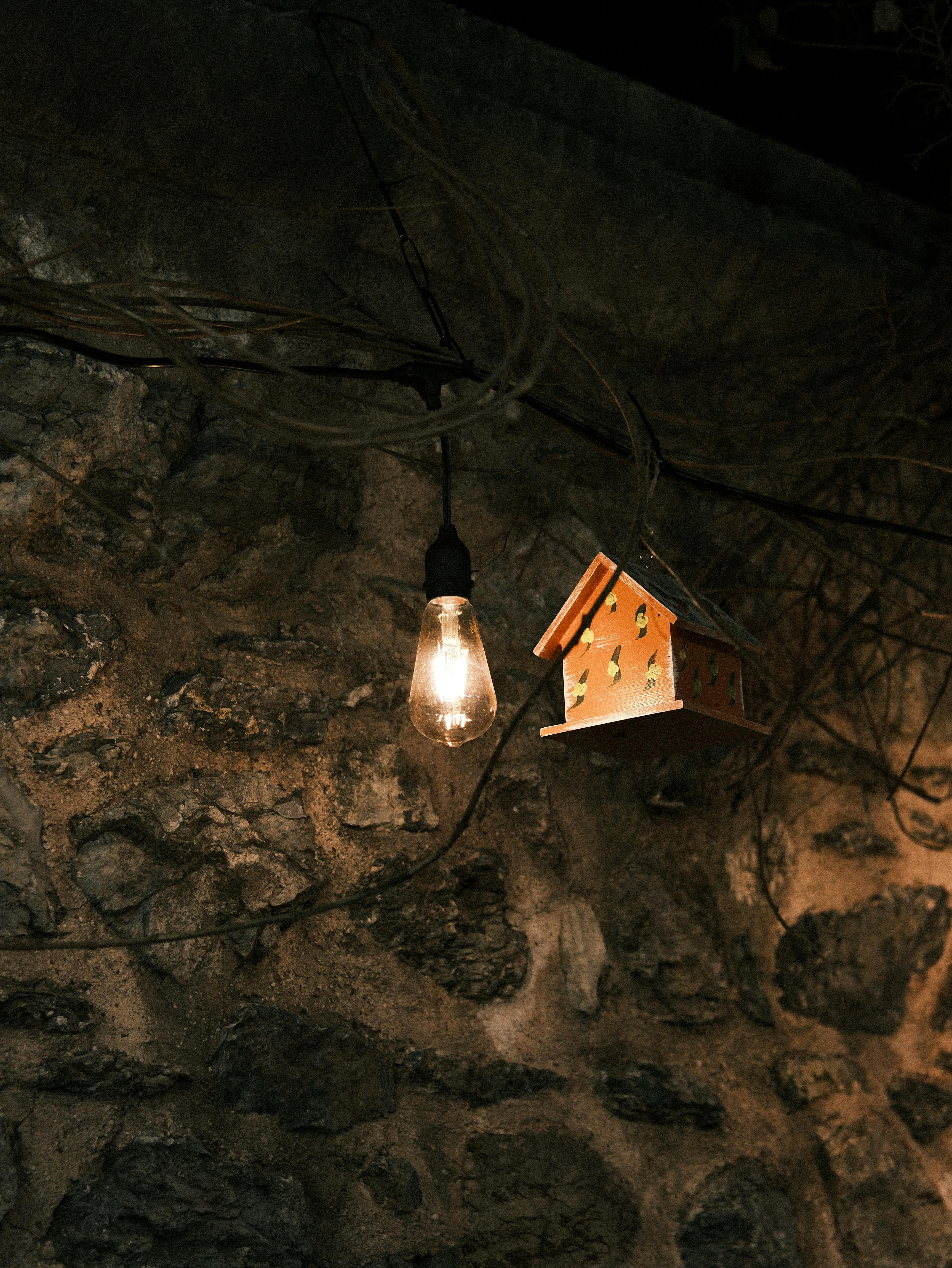 Gratuit Une ampoule de style vintage et une maisonnette à oiseaux sont accrochées à un mur de pierre rustique, créant une atmosphère chaleureuse et nostalgique. Photos