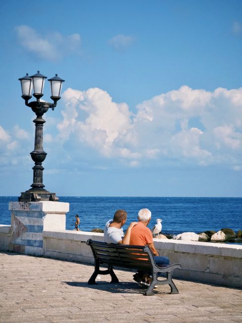 Two adults sitting on a coastal bench enjoying a sunny day by the sea with a seagull nearby.