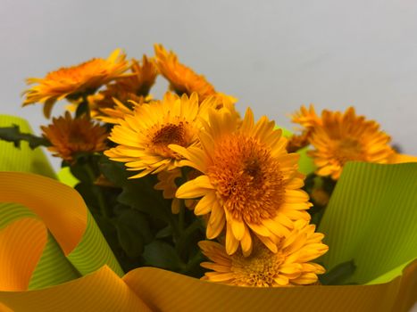 Bright yellow chrysanthemums blooming beautifully, wrapped in vibrant green paper.
