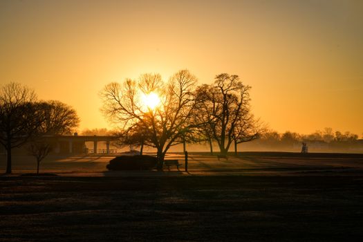 Captivating sunrise scene with leafless trees silhouetted in a misty park.