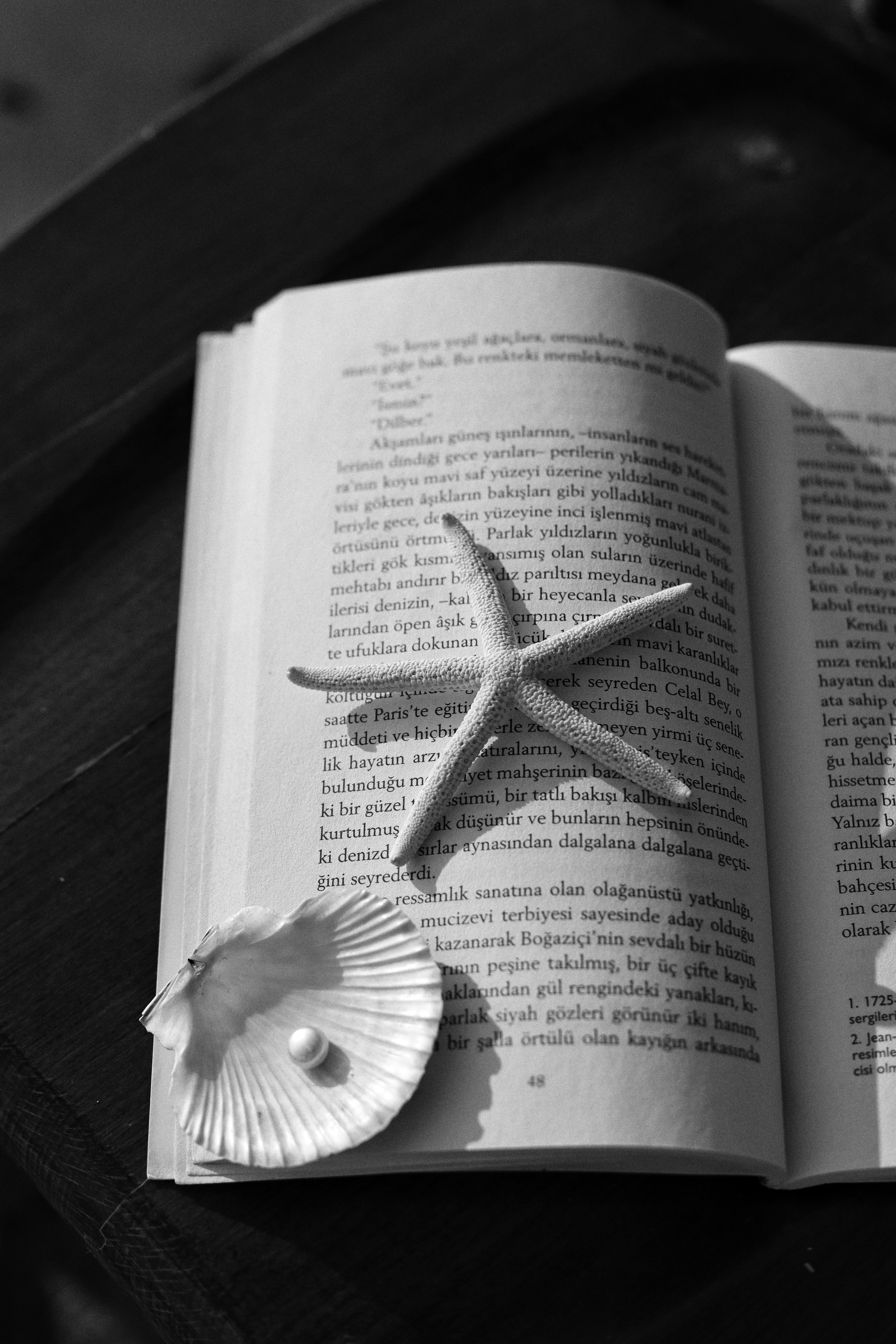 Gratis Svart-hvitt-bilde av en åpen bok med en sjøstjerne og et skjell, som fremkaller en rolig kyststemning. Arkivbilde