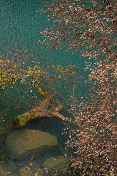 Free Serene autumn scene with still lake and overhanging trees in Ngawa Prefecture, China. Stock Photo