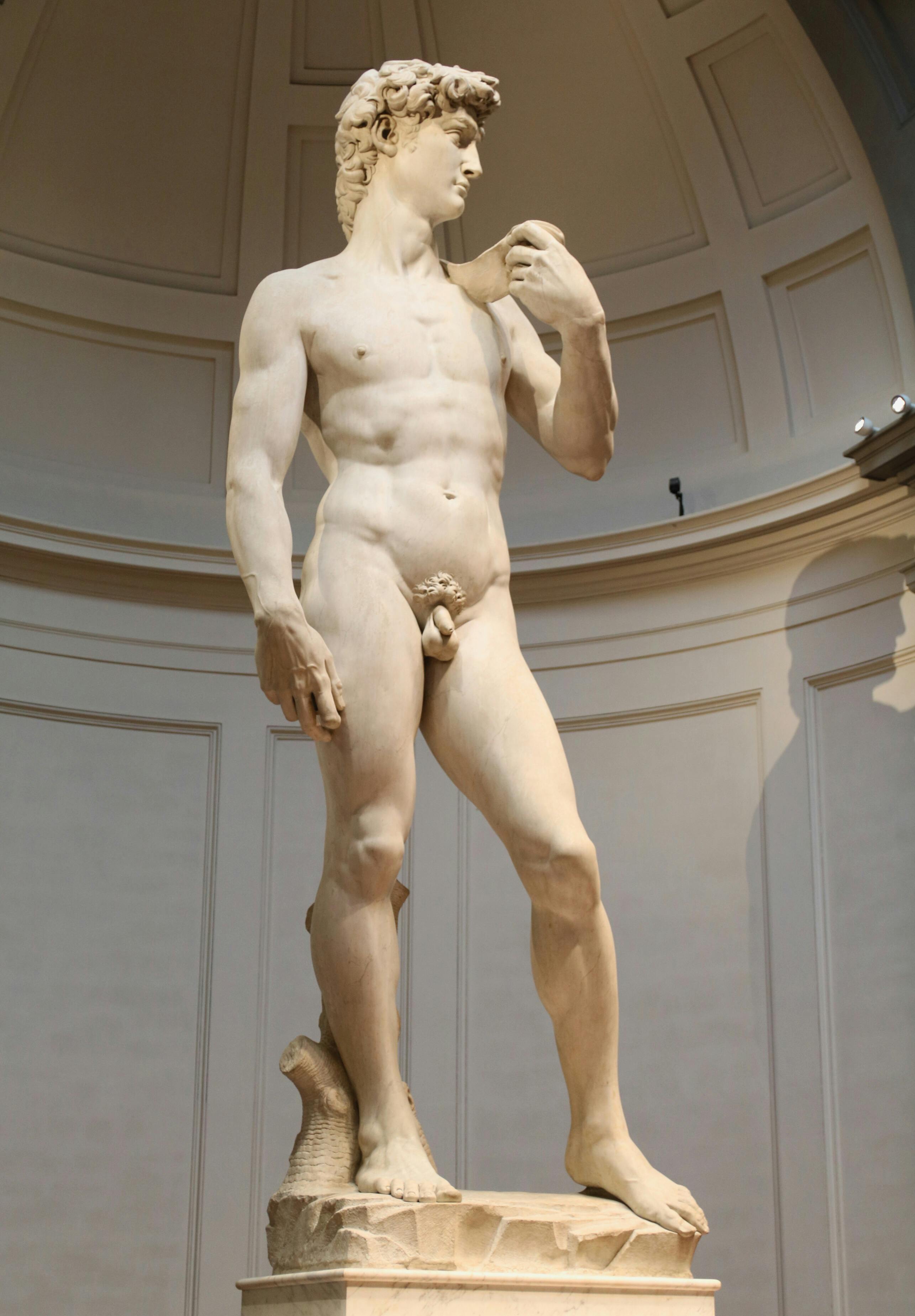 The iconic statue of David by Michelangelo displayed in Florence, Italy.