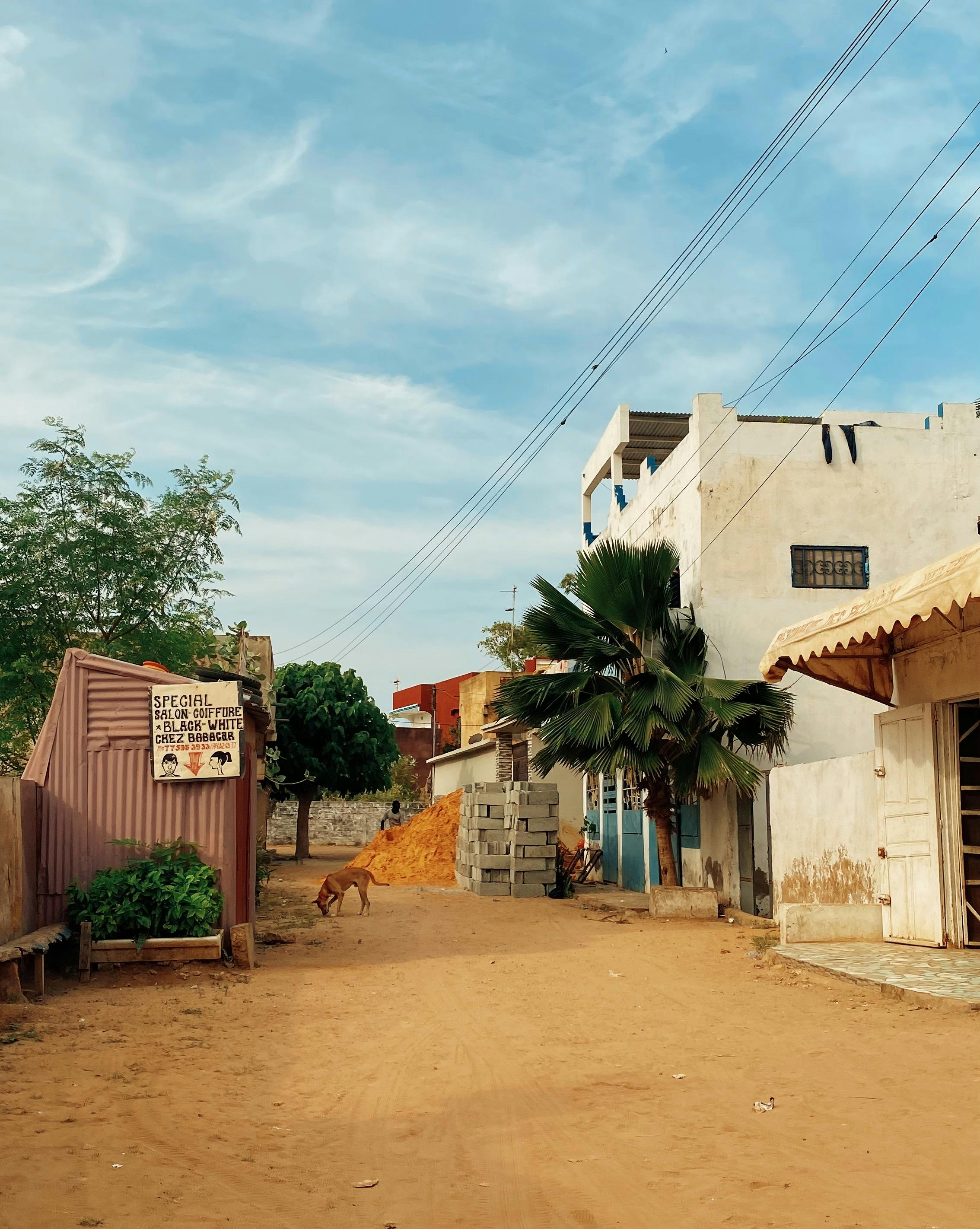 Senegal Inmersivo - 10 días galería 1