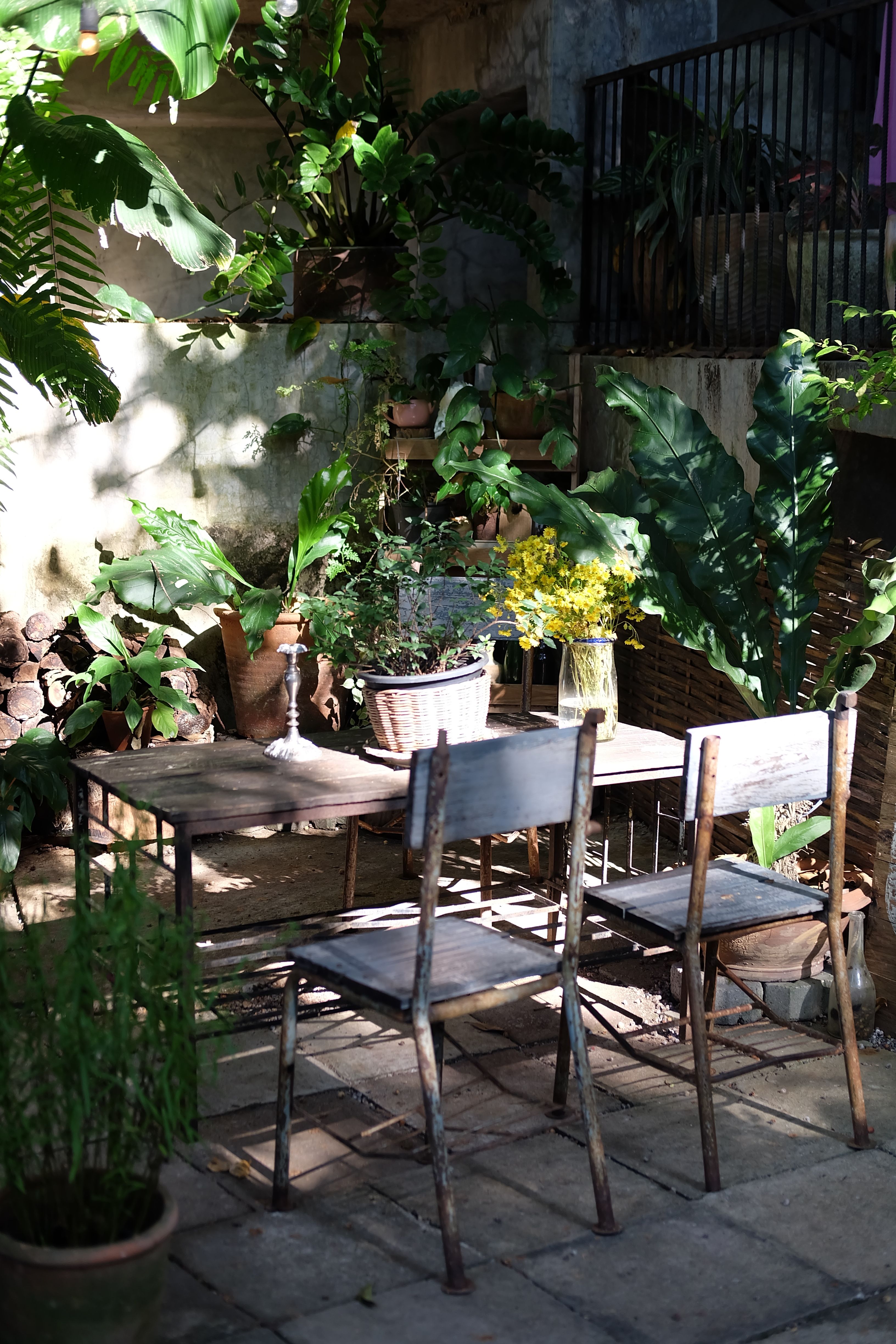 Cozy Outdoor Garden Patio with Rustic Furniture · Free Stock Photo