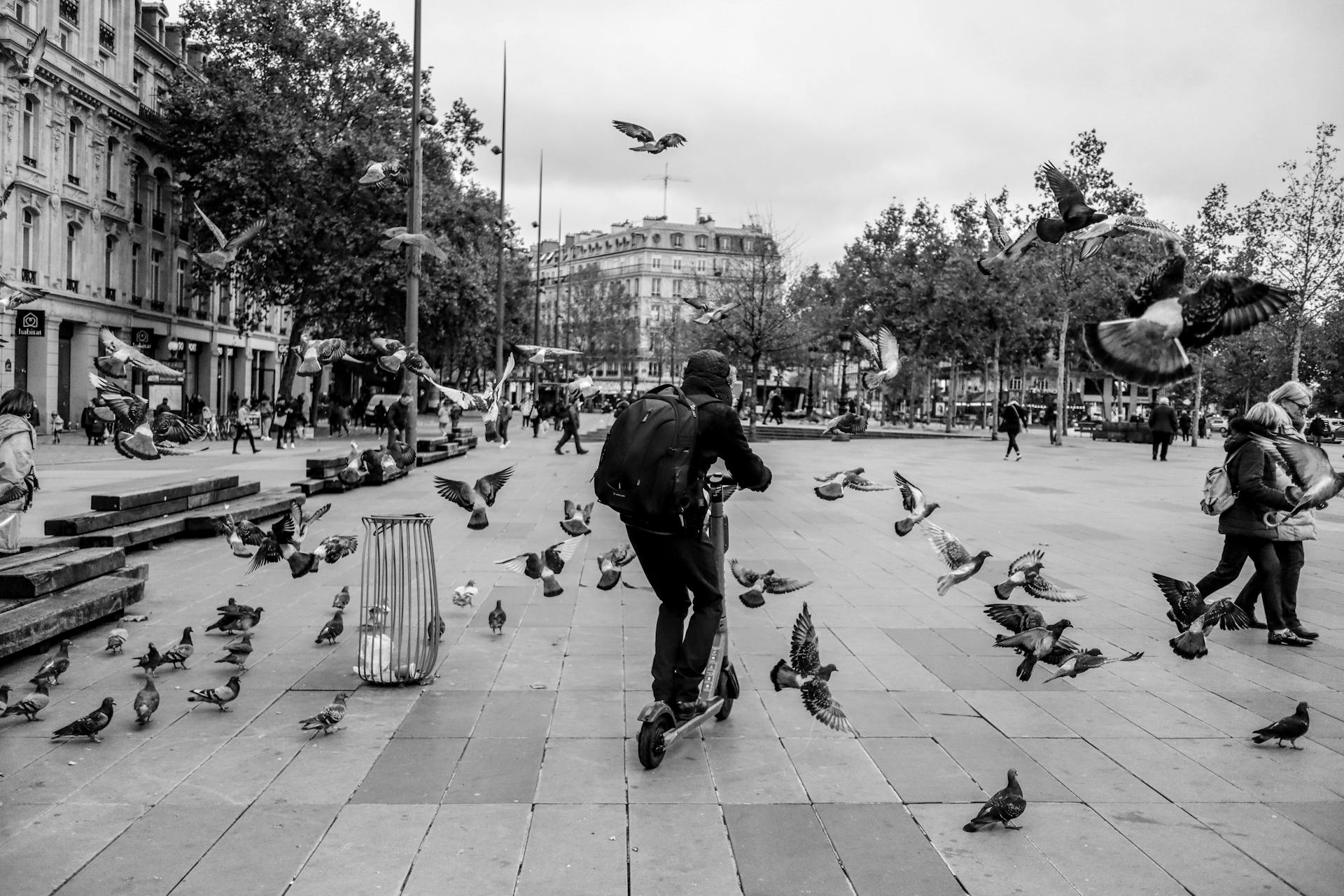 A person rides a scooter through pigeons in a Paris square, captured in black and white.