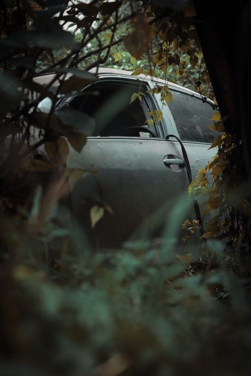 Free A vintage car left to decay, engulfed by nature in a quiet, moody setting. Stock Photo