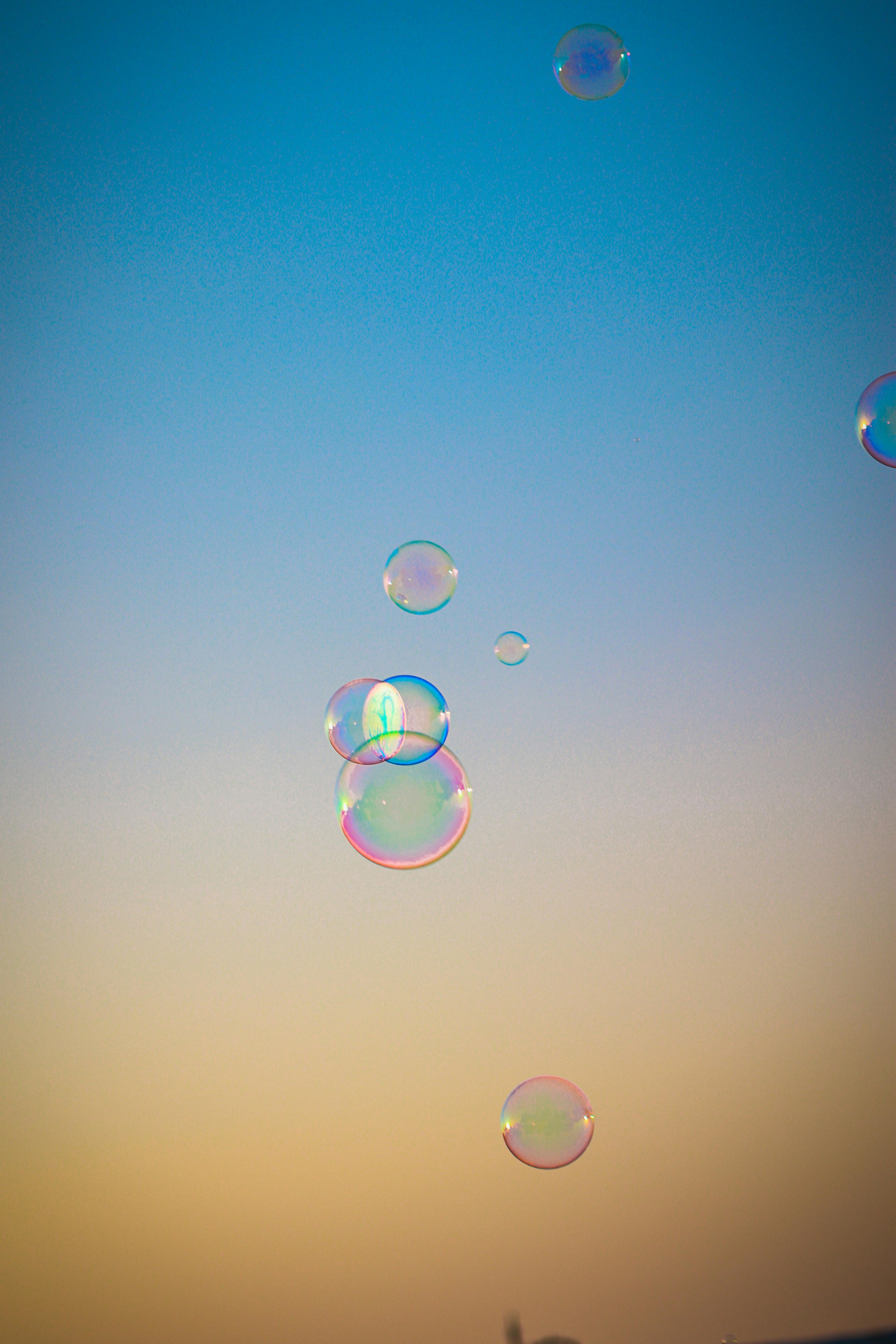 Free stock photo of air bubbles, blowing bubbles, bubbles