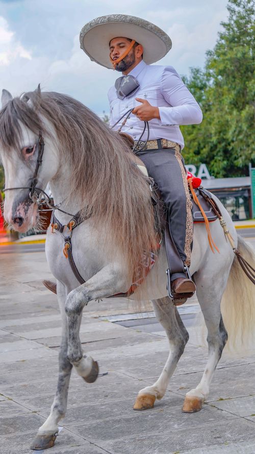 Free A traditional charro in attire riding a majestic horse outdoors on a bright day. Stock Photo
