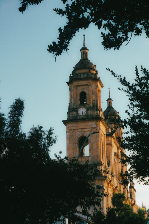Free A beautiful view of a historic church tower framed by trees at sunset, capturing its architectural elegance. Stock Photo