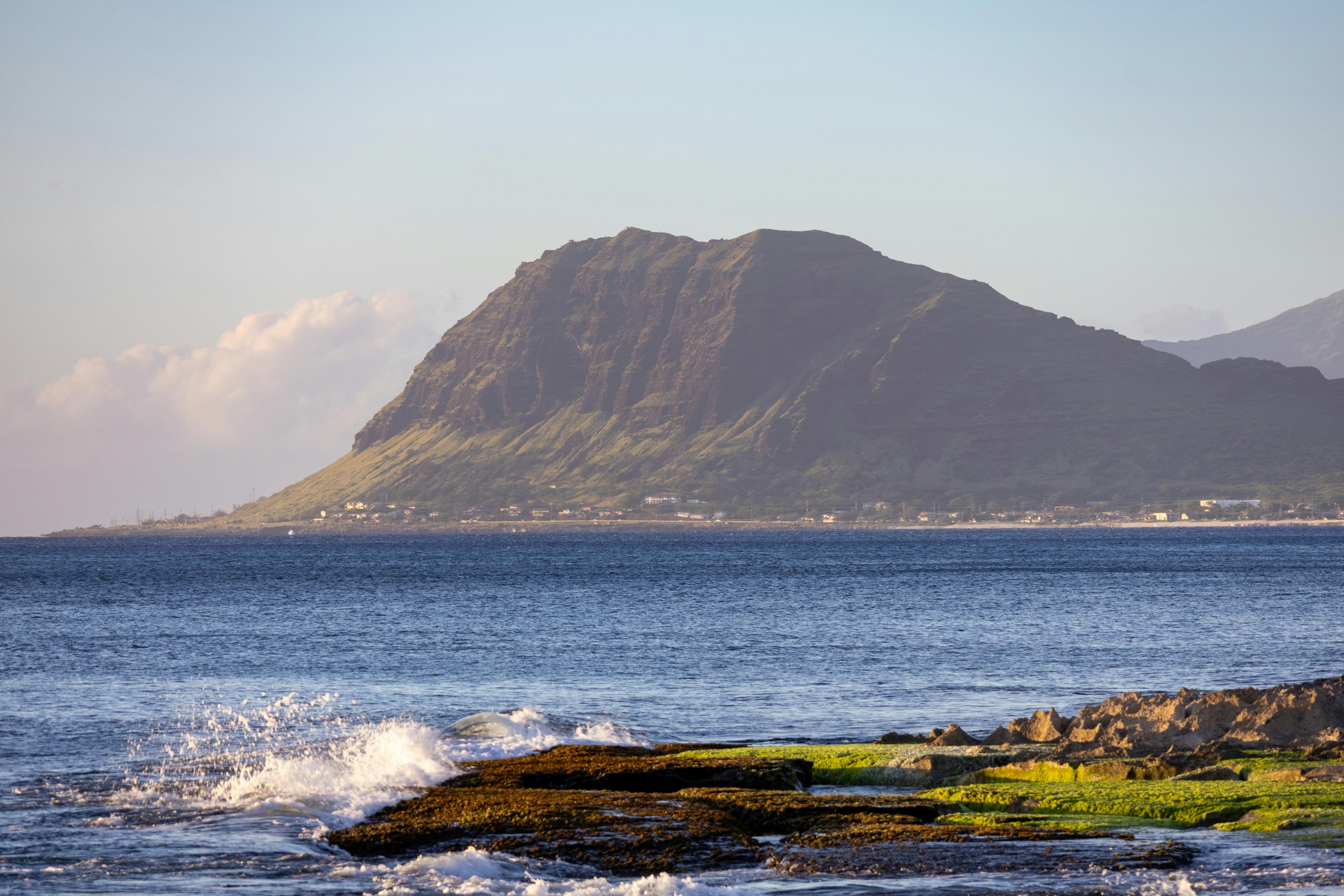 Hawaii Island Seed Bank helps build climate resilience - Hawaii Tribune — Photo by Mike Gordon on Pexels