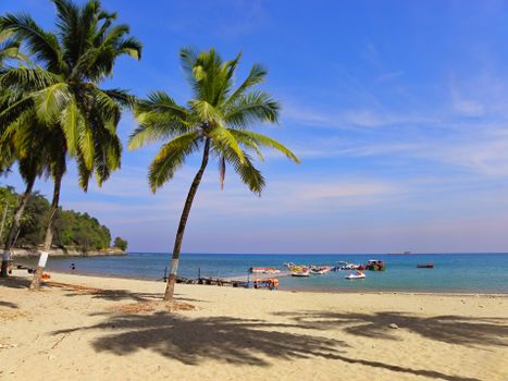 Tropical beach scene with palm trees and clear Andaman sea in Sri Vijaya Puram, India.