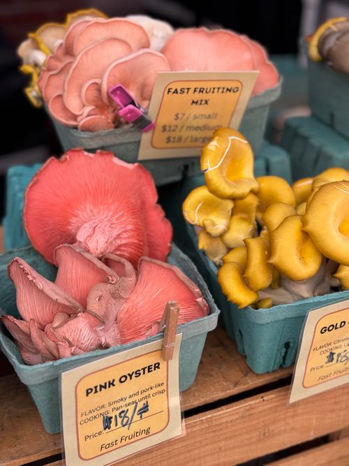 Pink and golden oyster mushrooms at a market