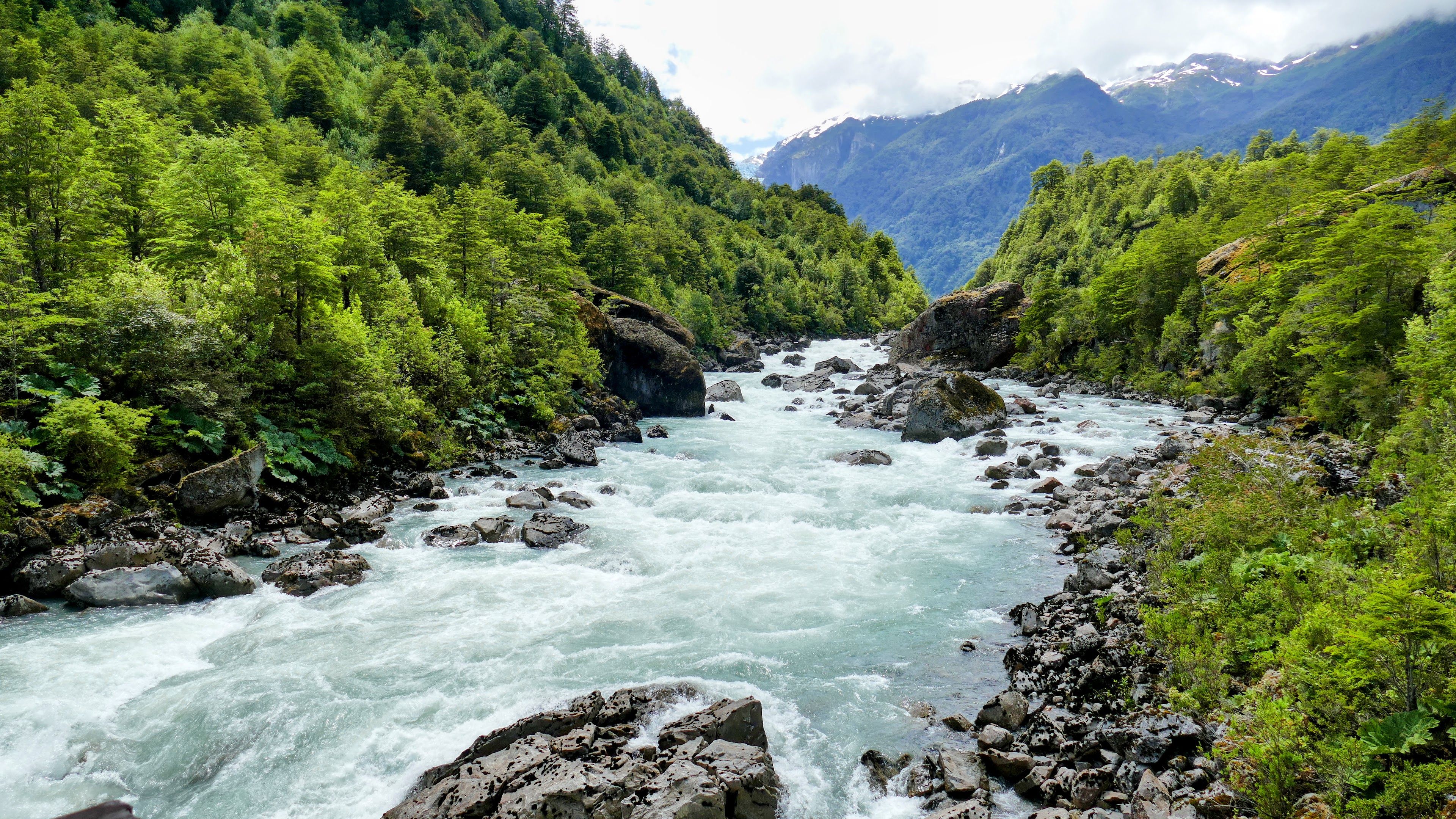 Tours, activities & tickets in Coyhaique