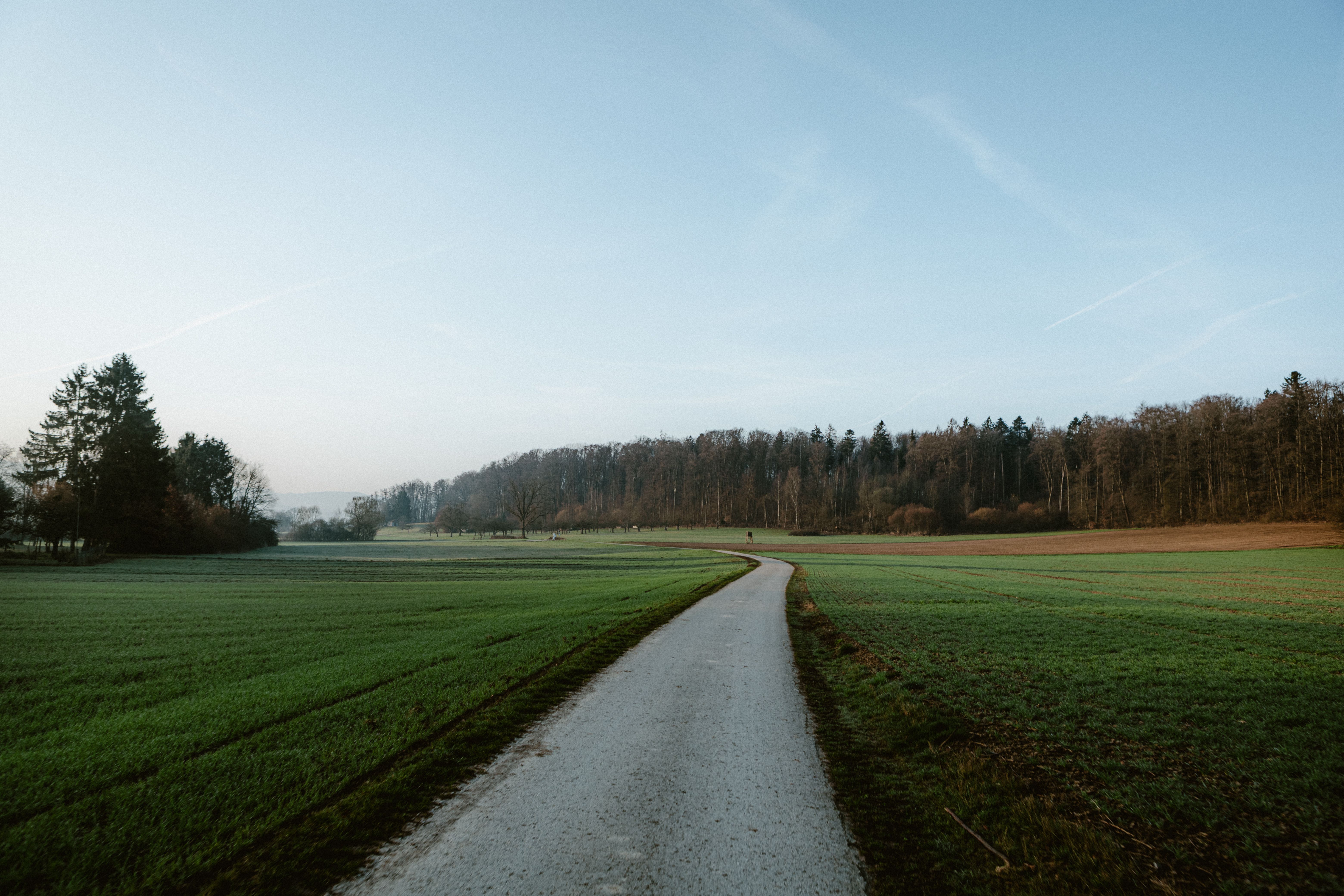 Serene rural landscape with winding path · Free Stock Photo