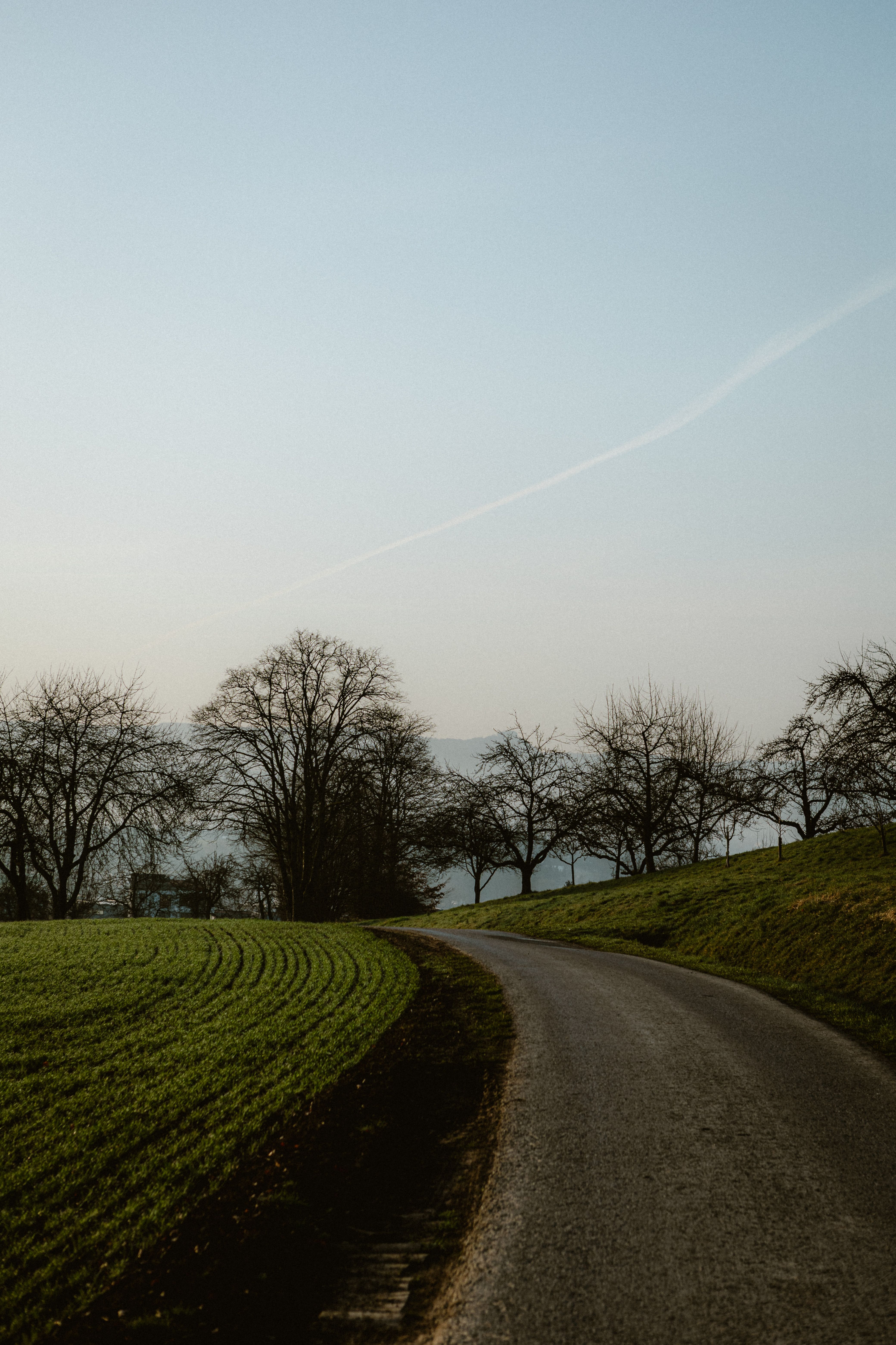 Scenic Country Road with Bare Trees in Spring · Free Stock Photo