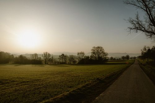 Free Tranquil rural landscape at sunrise with a country road and grassy fields. Stock Photo