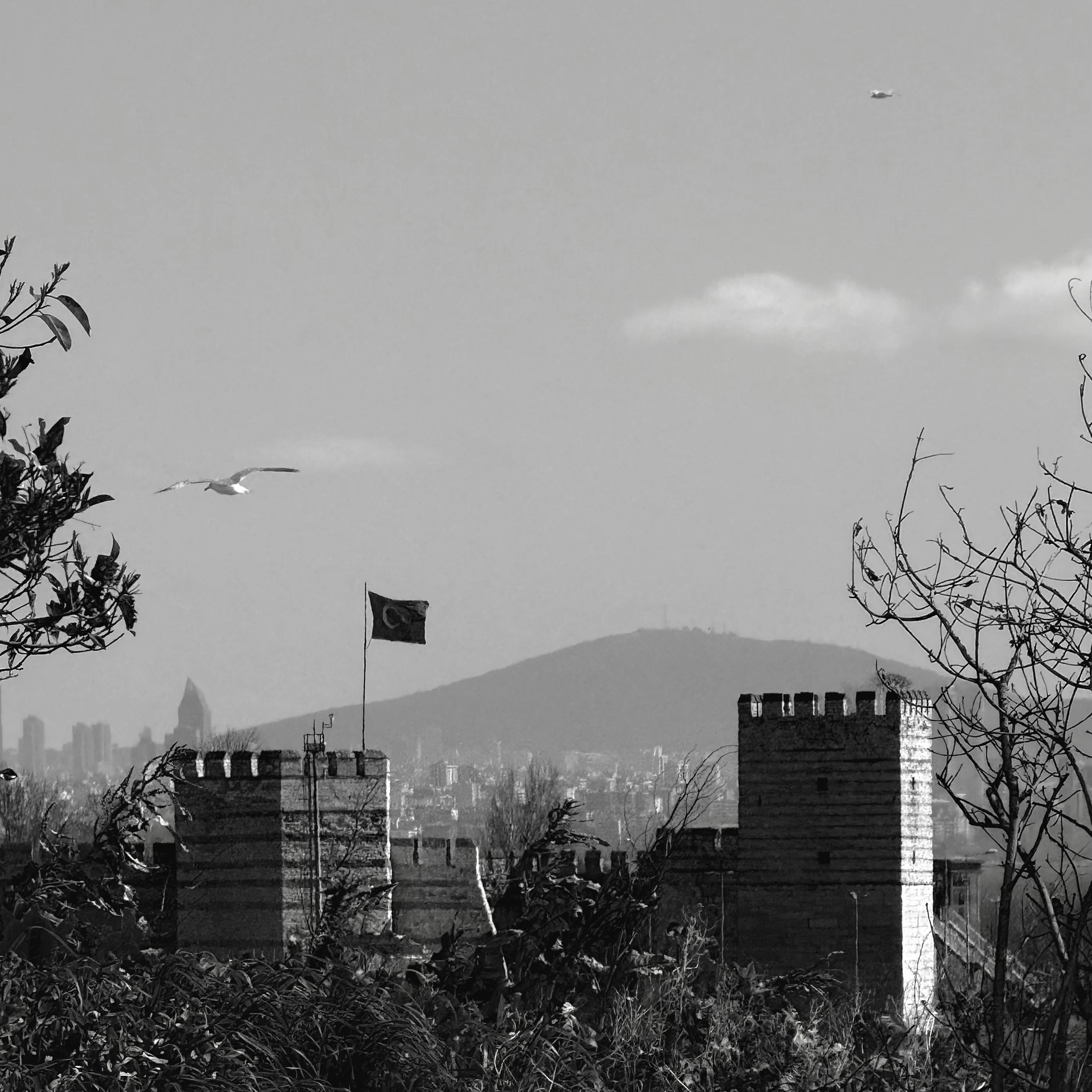 Kostnadsfria Ett svartvitt fotografi som föreställer Yoros slott i Istanbul med en turkisk flagga och en flygande mås i närheten. Stock foto
