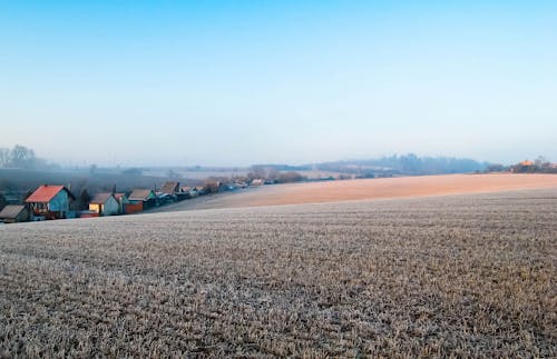 Free stock photo of autumn, blue, clear