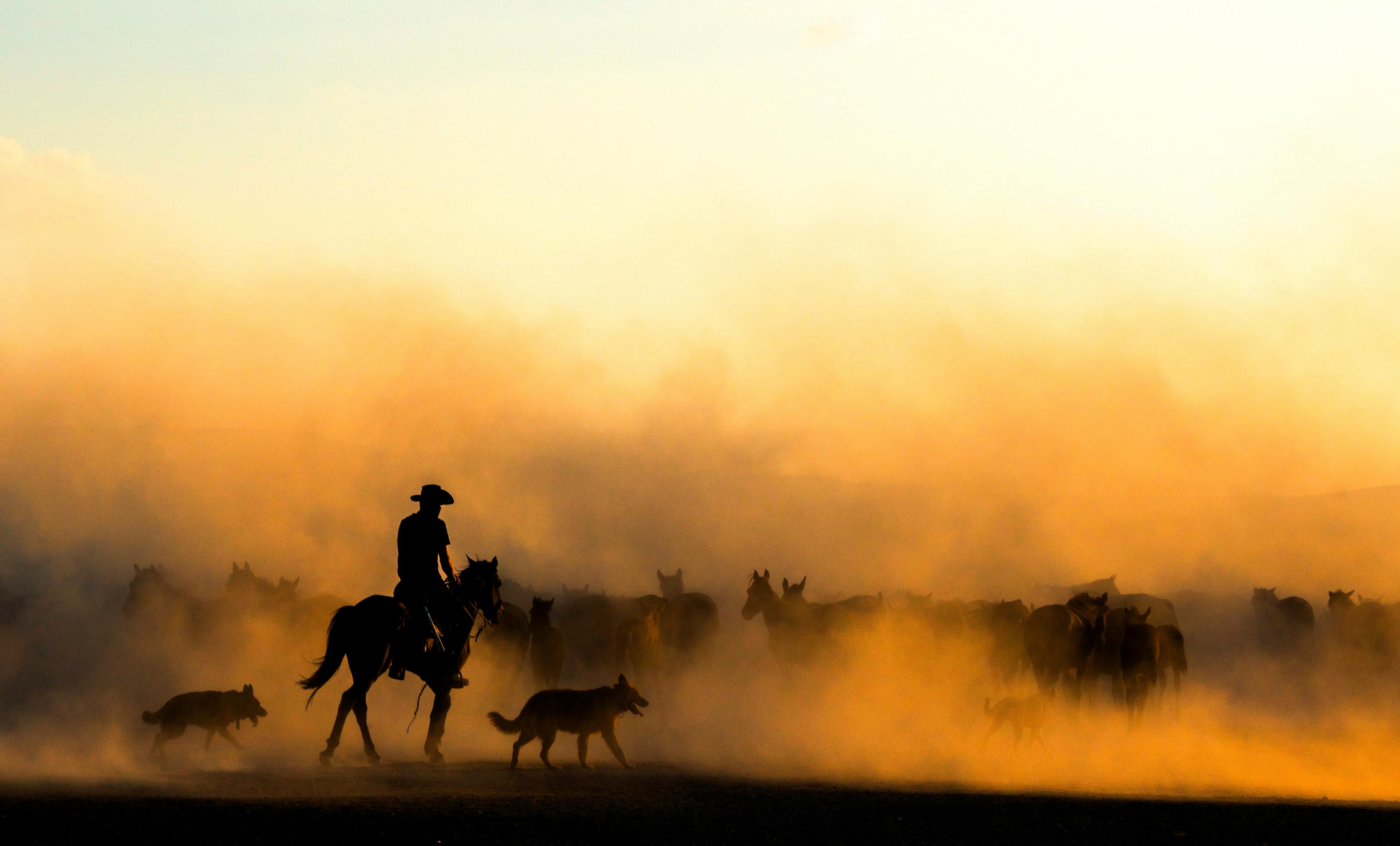 Türkiye’s population prefers Western lifestyle, survey shows — Photo by Esra Bürçün on Pexels