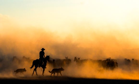 A cowboy on horseback herding a group of horses through a dusty landscape at sunset.