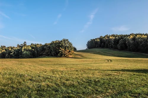 Free stock photo of blue, countryside, field