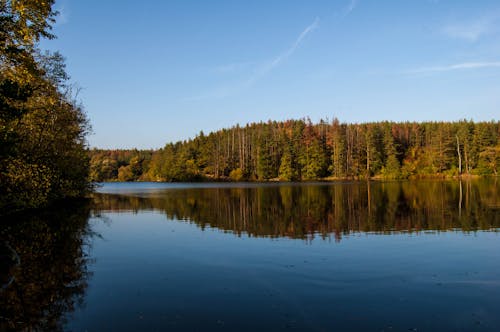 Free stock photo of autumn, background, beautiful