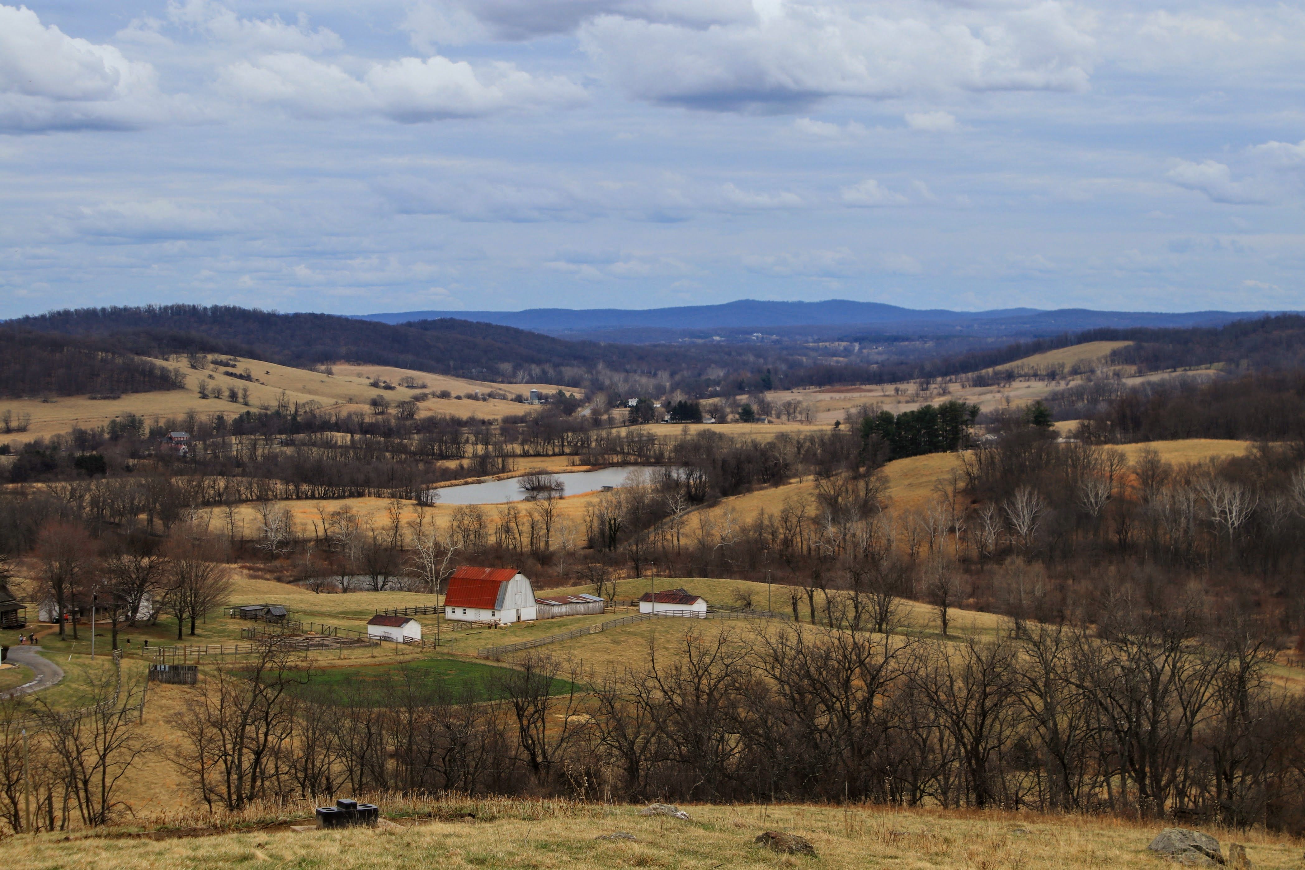 Idyllic landscape of Delaplane, Virginia, featuring farms, barns, and rolling hills in a serene setting.