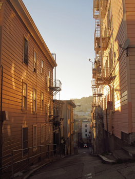 Serene San Francisco alley at sunset with warm golden hues