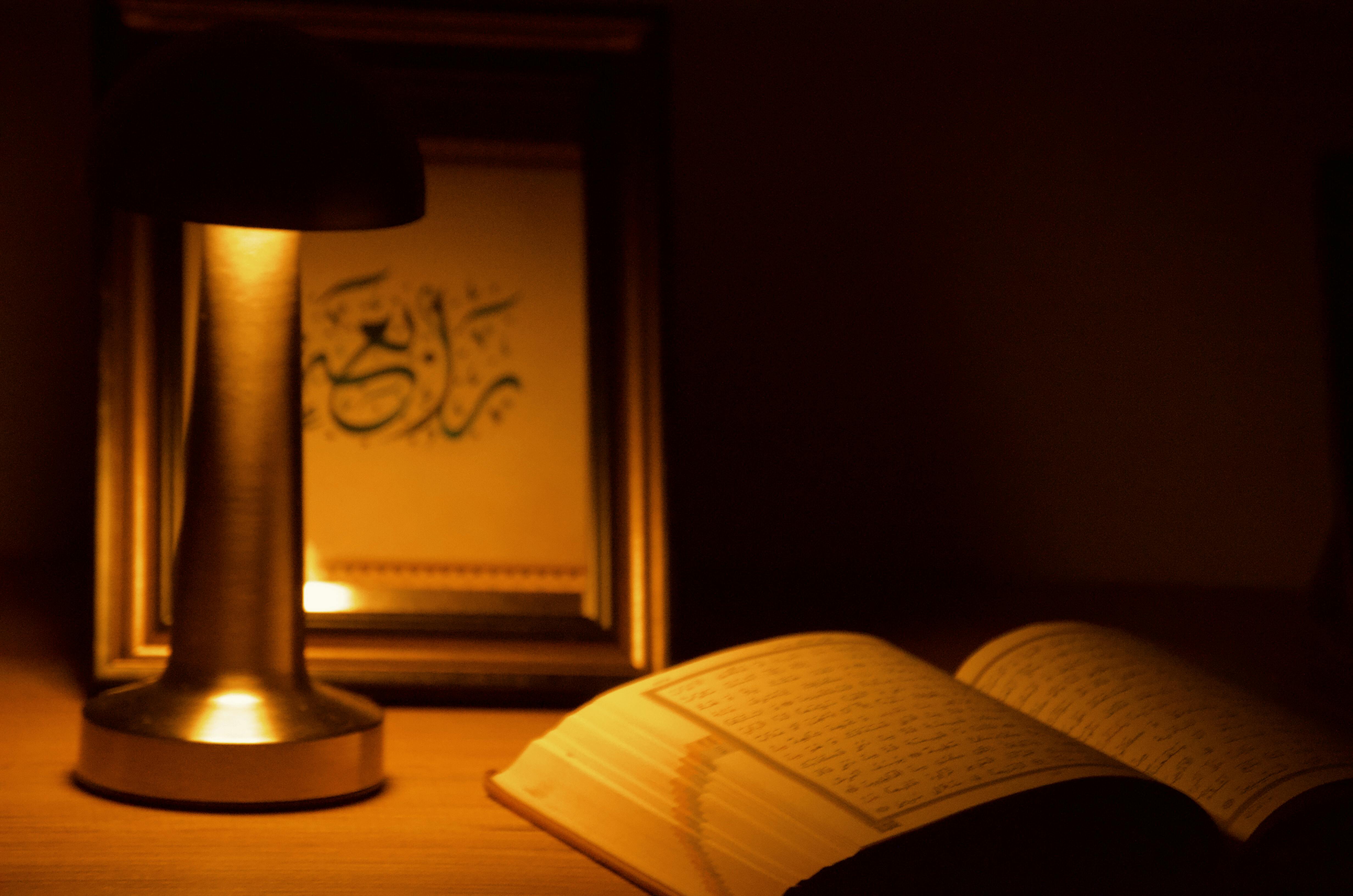 Δωρεάν Ζεστό δωμάτιο με ατμόσφαιρα που φωτίζεται από μια απαλή λάμπα δίπλα σε ένα ανοιχτό βιβλίο και ένα πλαισιωμένο έργο τέχνης. Φωτογραφία από στοκ φωτογραφιών