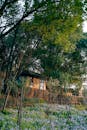 Tranquil Forest Cottage in Nanjing, China