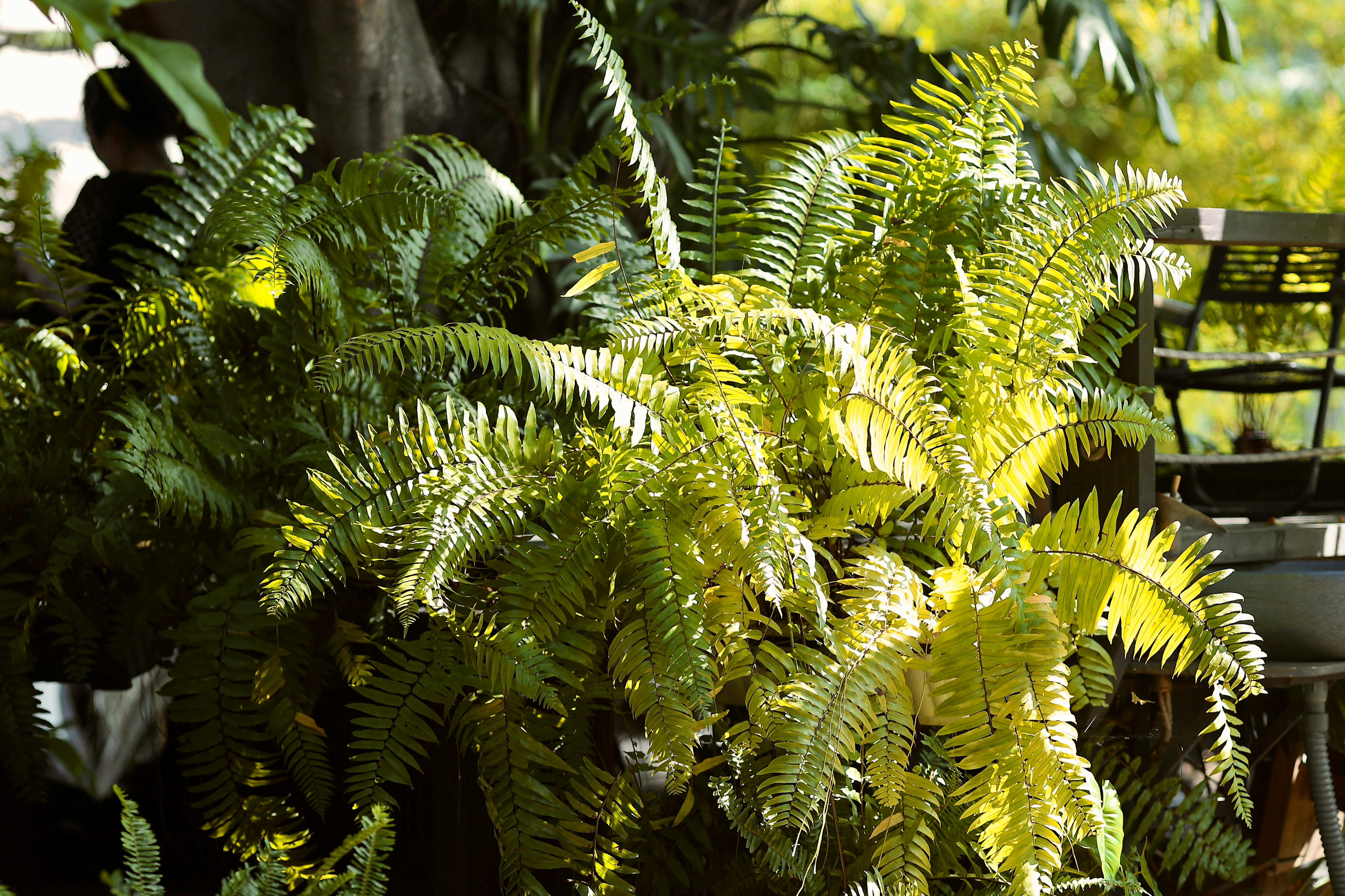 Best Weekend getaways in Denver: A Complete Guide