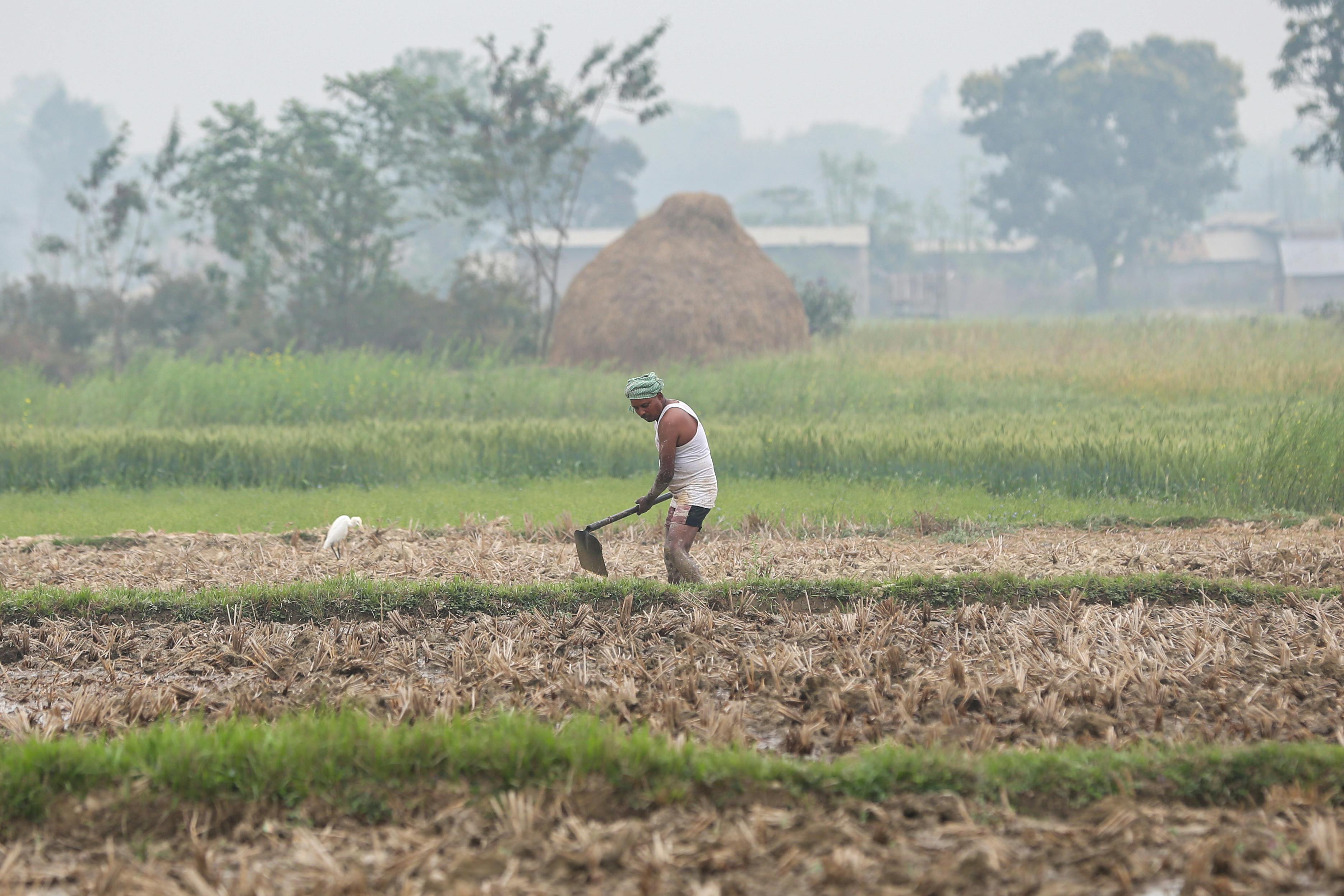 Many farmers utilize life insurance for farm financing — Photo by Bijen Amatya on Pexels