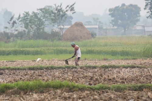 Free A farmer tending to a field with a shovel on a foggy day. Pastoral rural scene. Stock Photo