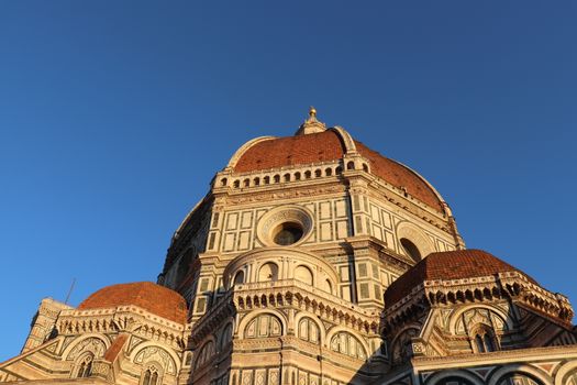 Tuscan truffle hunt with a family — Florence