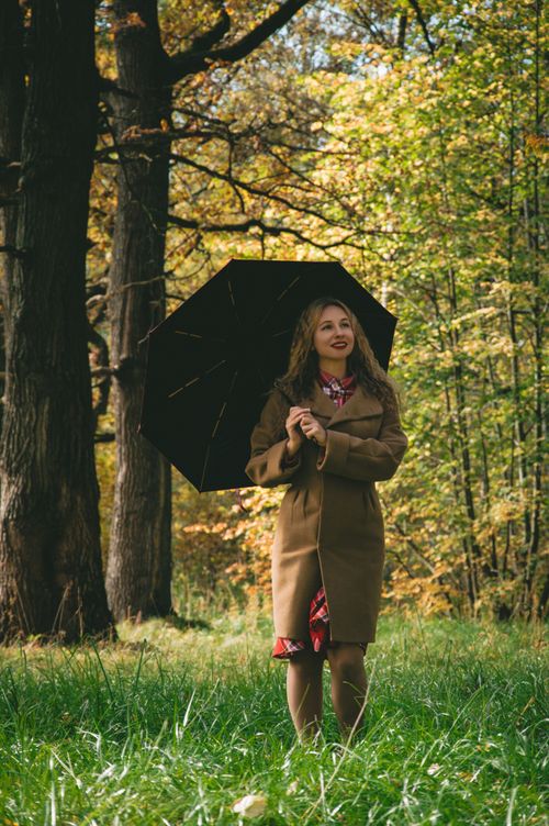 Free A woman in a coat holds an umbrella among tall trees in a colorful autumn forest. Stock Photo