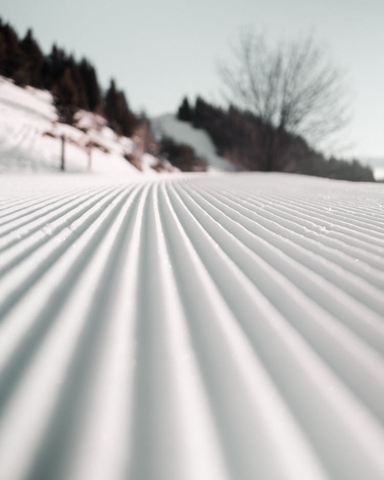 Snow Covered Field