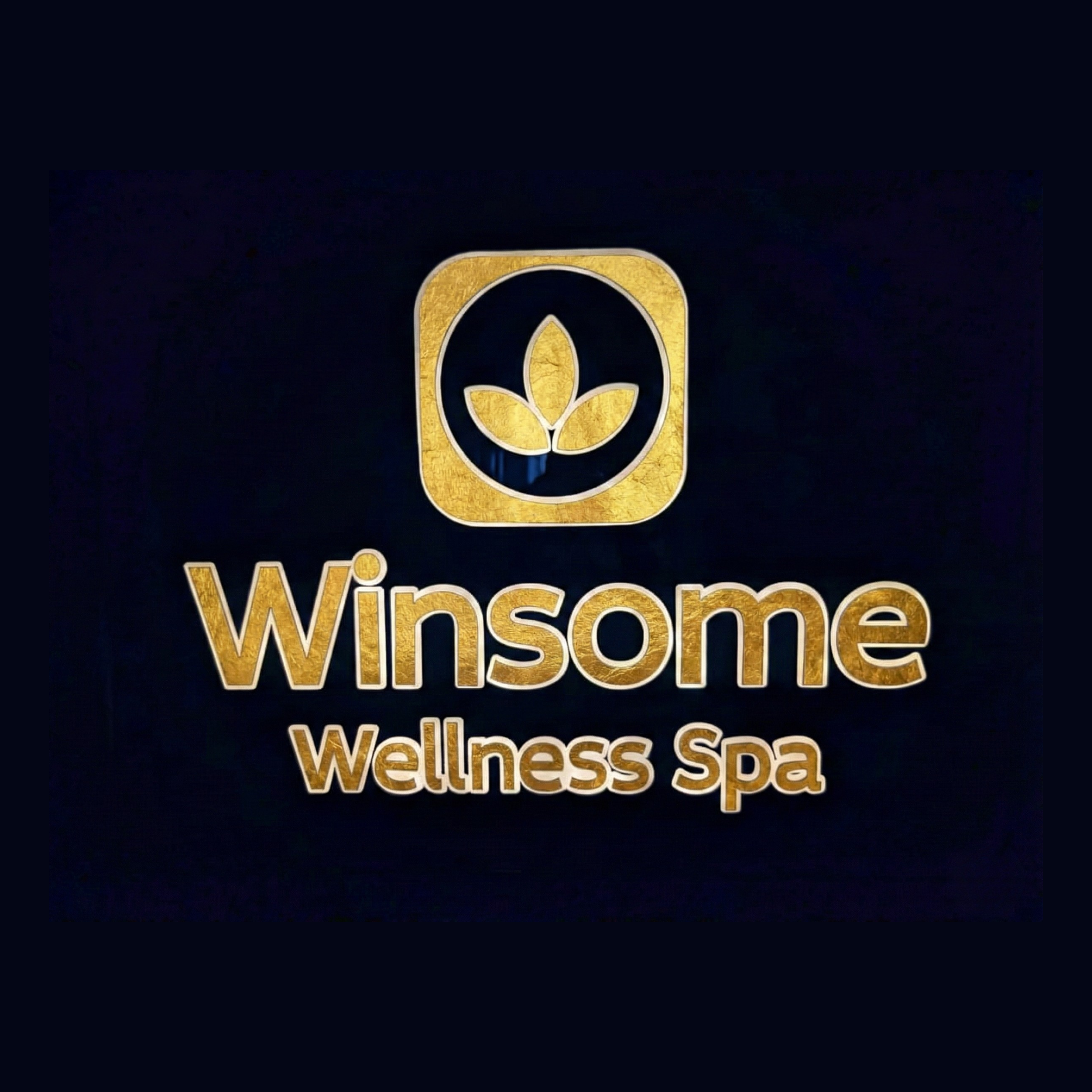 Winsome Spa logo