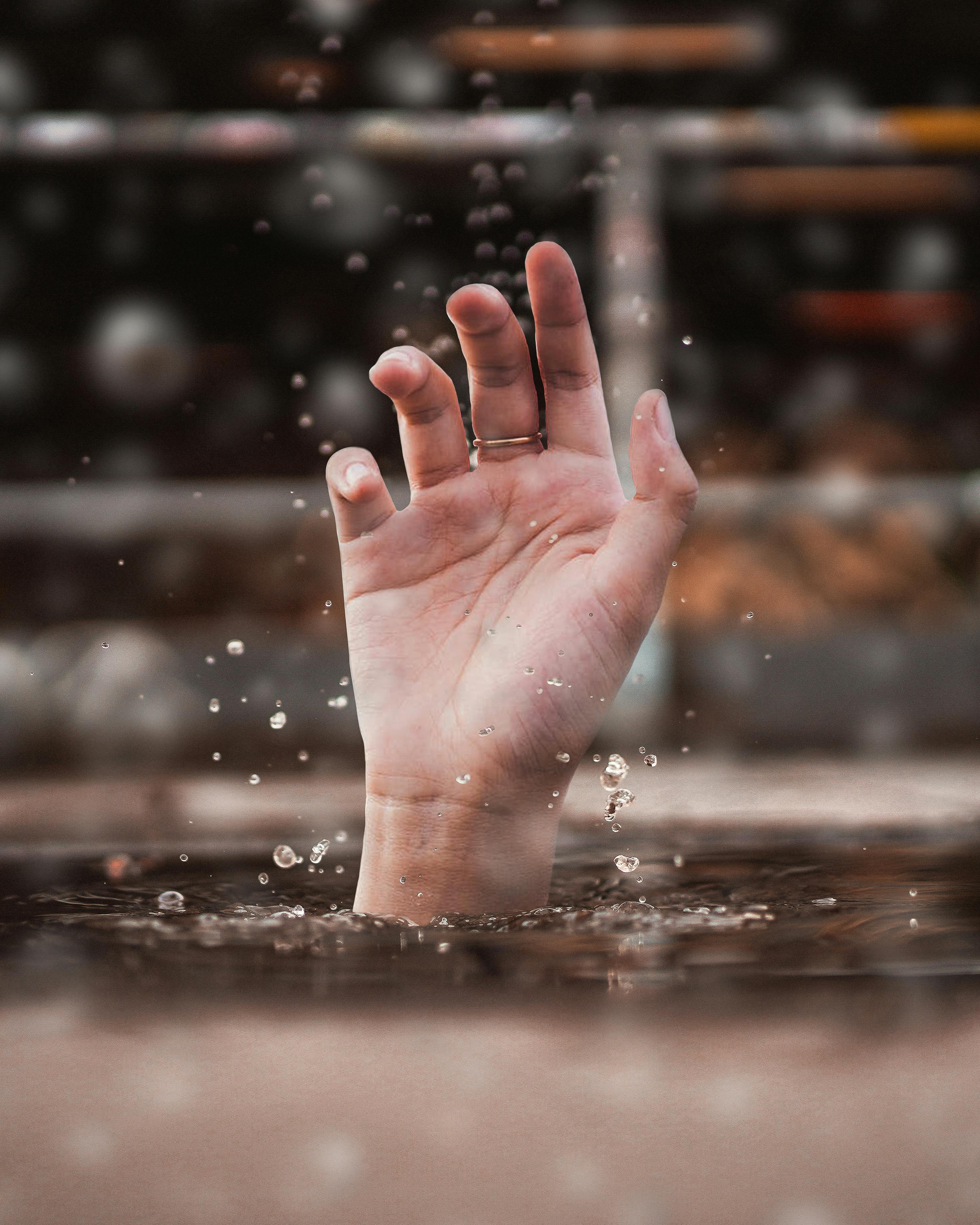 Why Do Dogs Have Wet Noses? Discover the Surprising Benefits! 4 The Evolutionary Advantage: How Wet Noses Help Dogs Survive