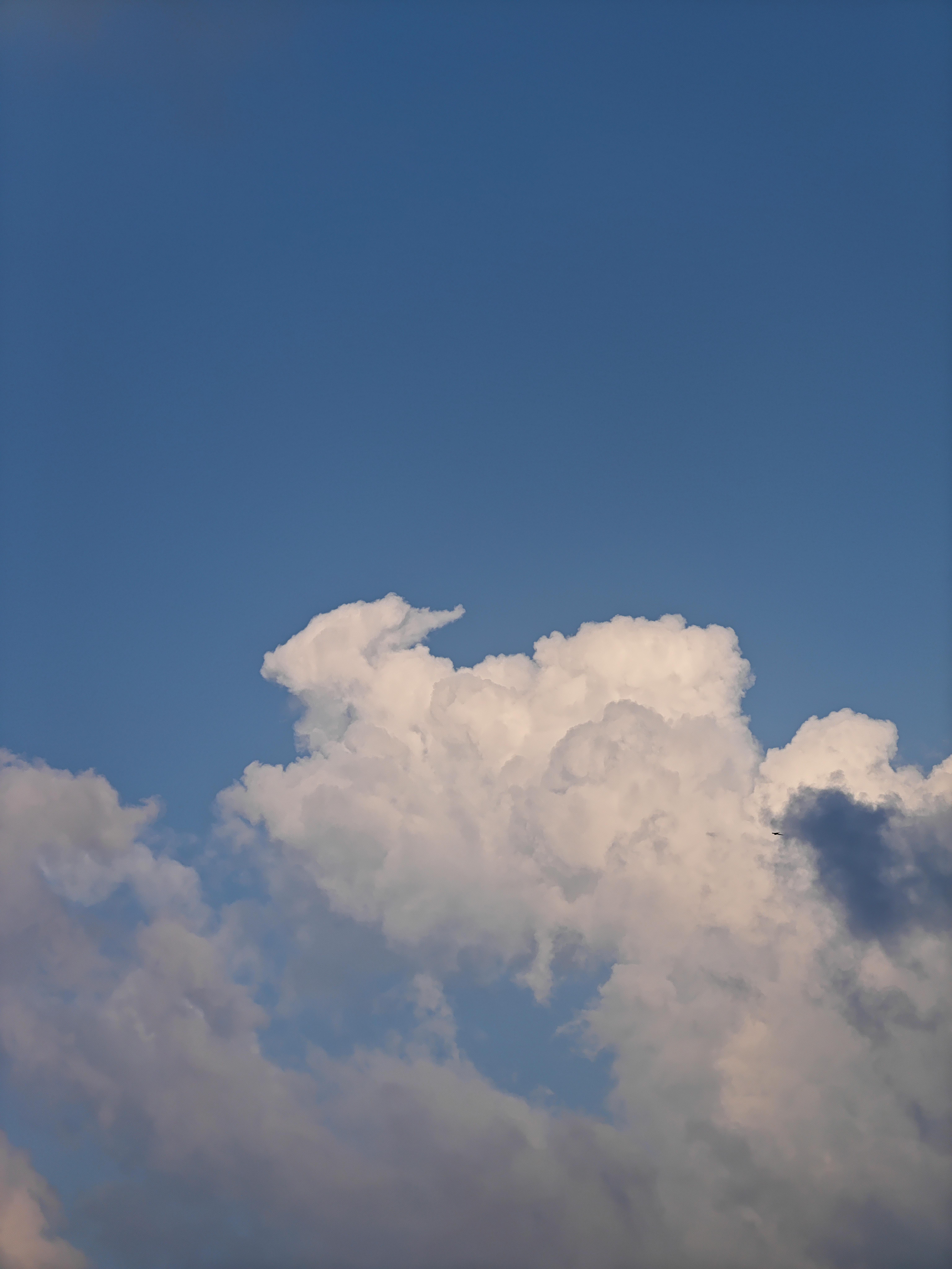 Gratuit Un paysage pittoresque de nuages ​​blancs et duveteux se détachant sur un ciel bleu limpide, idéal pour les arrière-plans. Photos