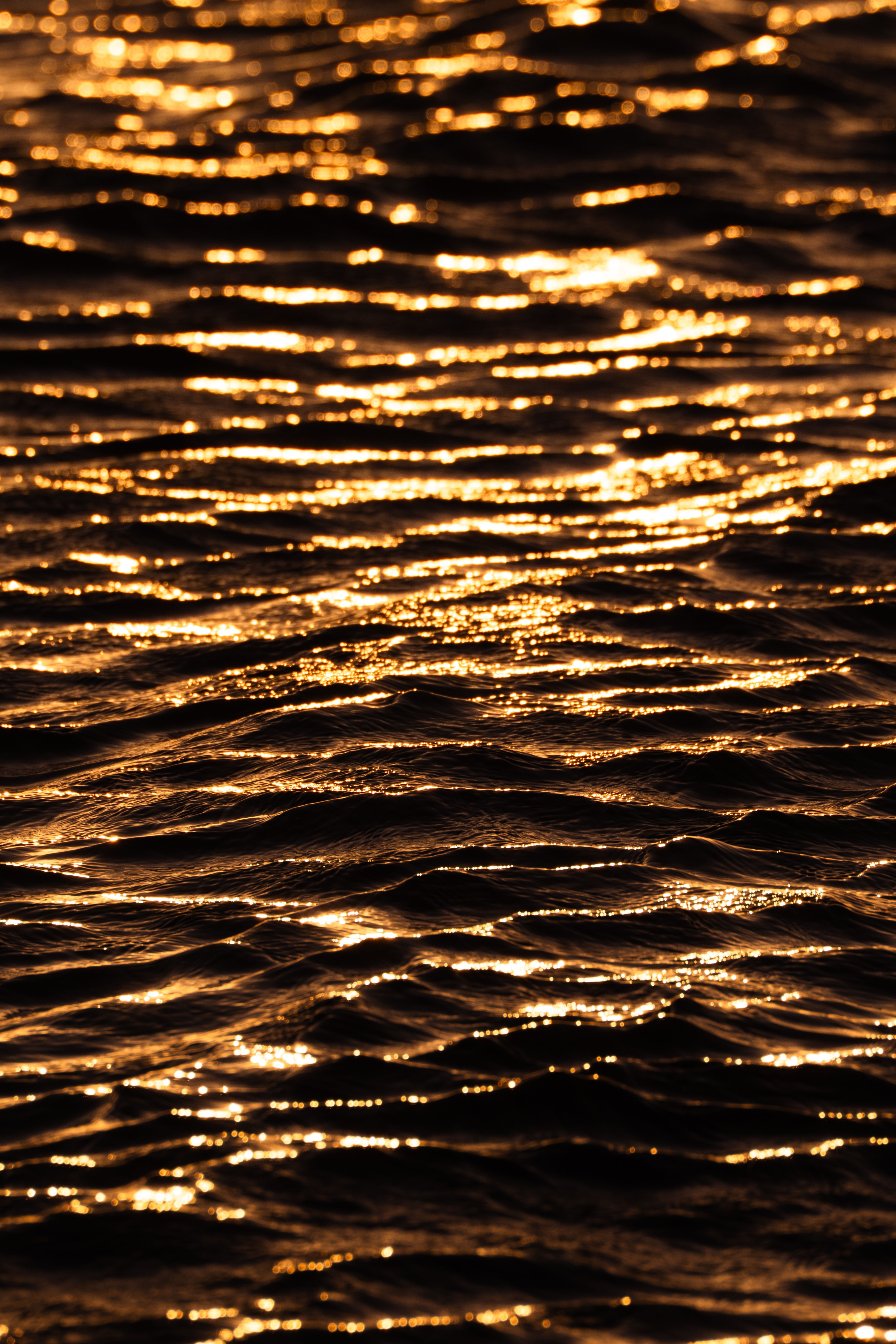 Golden Sunset Reflections on Water Surface · Free Stock Photo