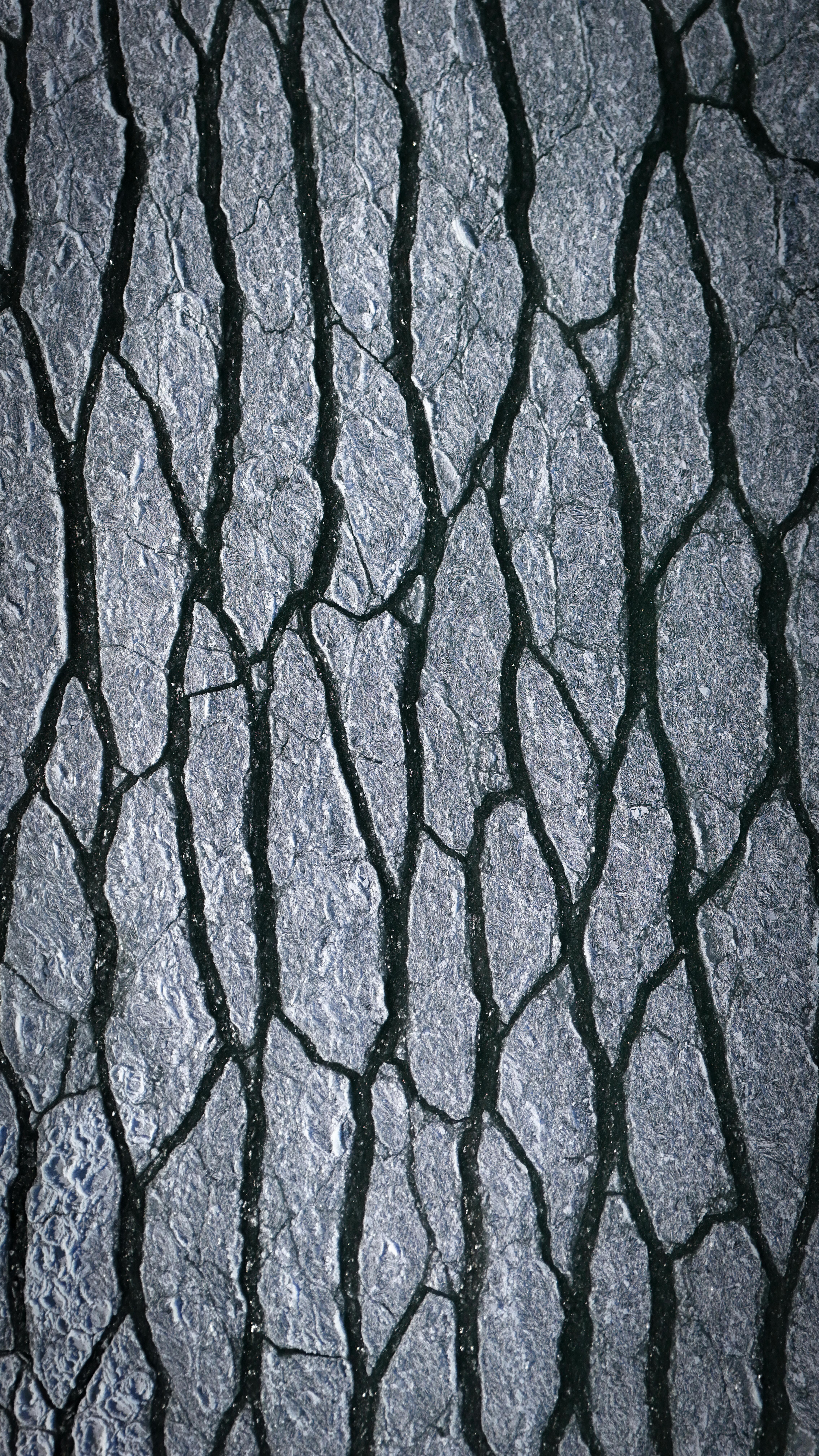 無料 ひび割れたアスファルトのクローズアップ画像。独特の自然の模様と質感が見られます。 写真素材