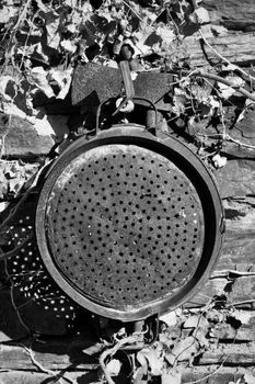 Rustic perforated colander hangs against a stone wall with vines.