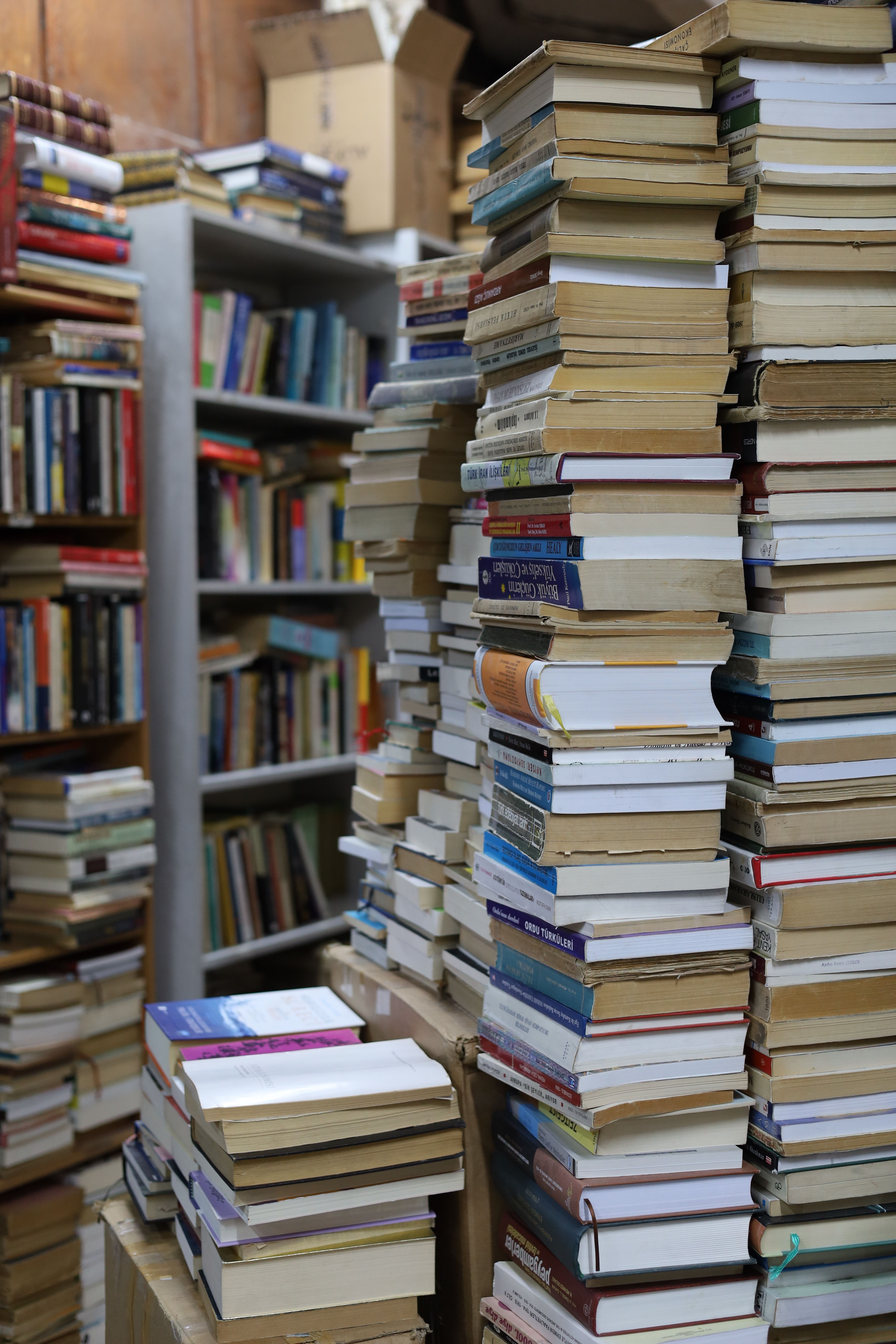 Towering Stacks of Books in a Library Room · Free Stock Photo
