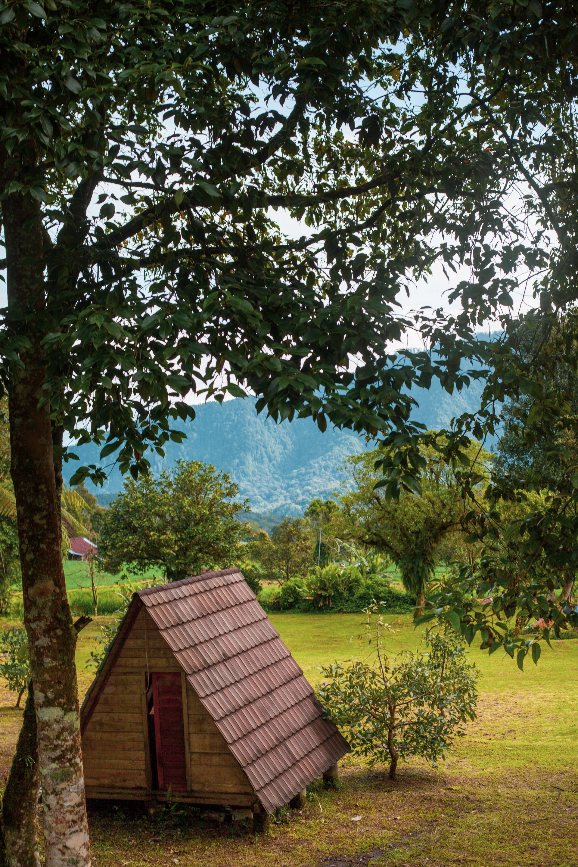 Quiet-cation : comment organiser un week-end de déconnexion totale sans quitter la France 