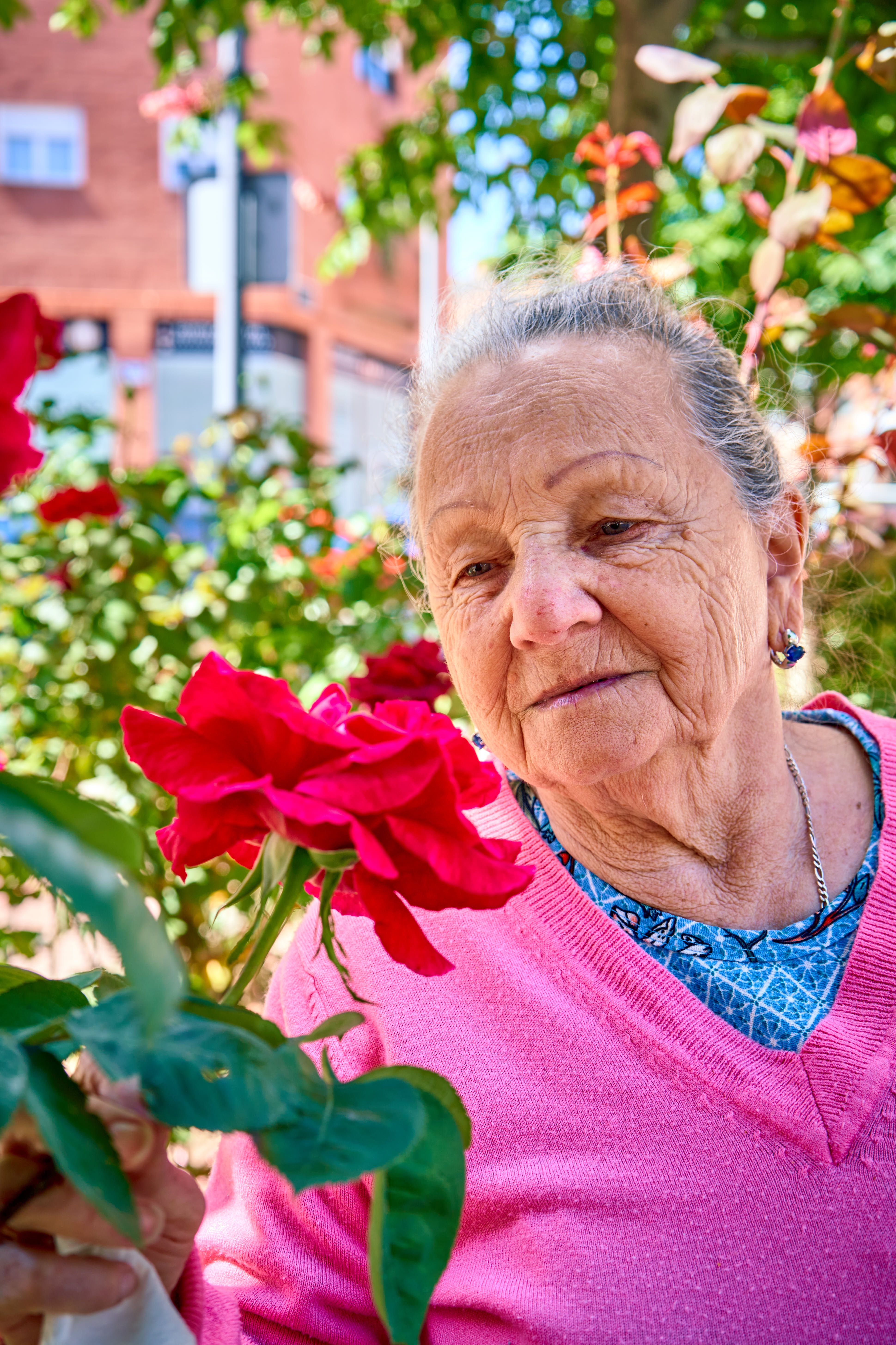 Elderly woman in pink sweater appreciating vibrant roses outdoors in Madrid.