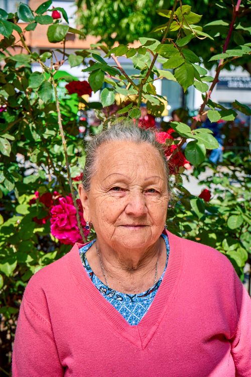 Free An elderly woman in a pink sweater amidst vibrant flowers on a sunny day. Stock Photo