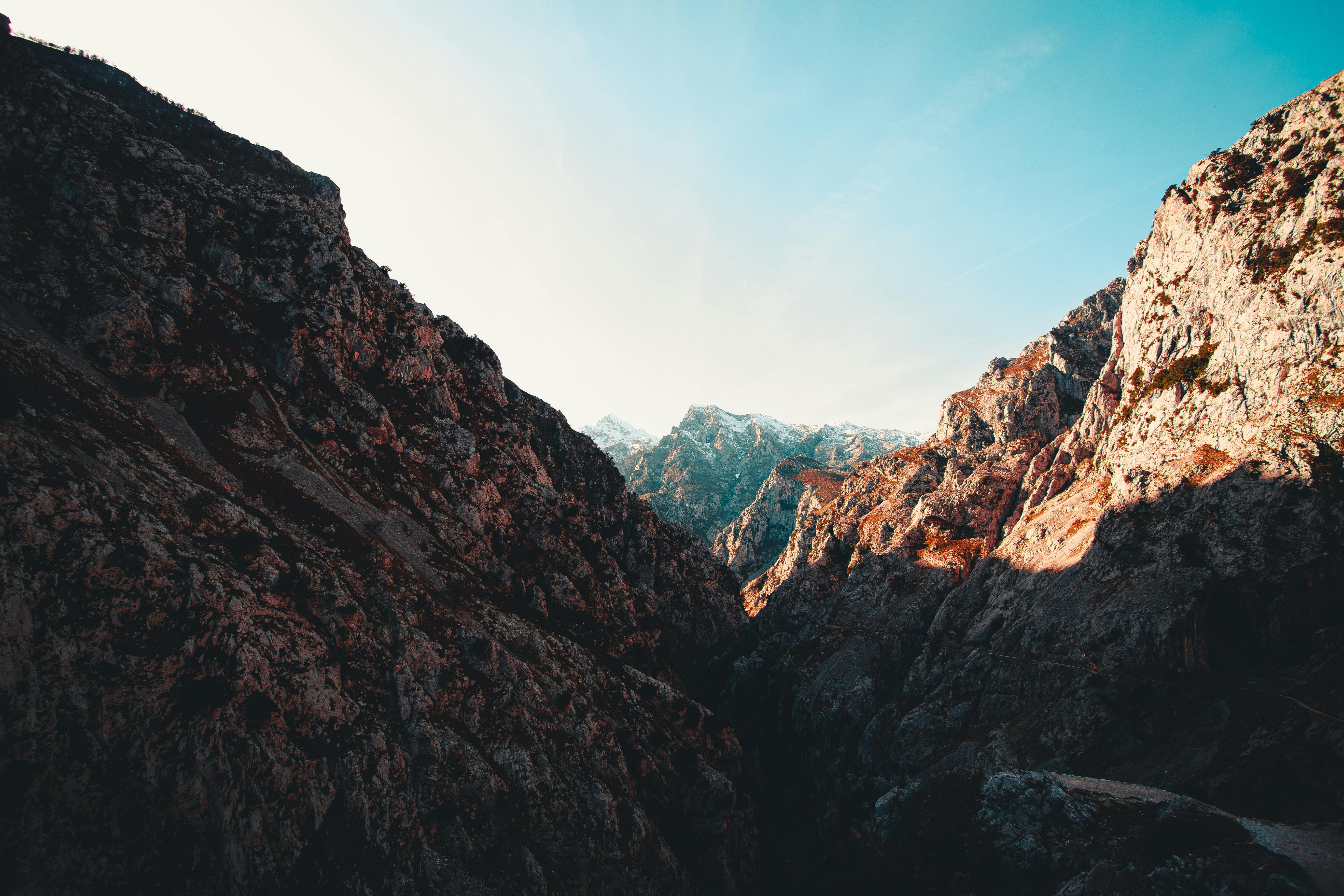 Complete Makeup brushes Comparison